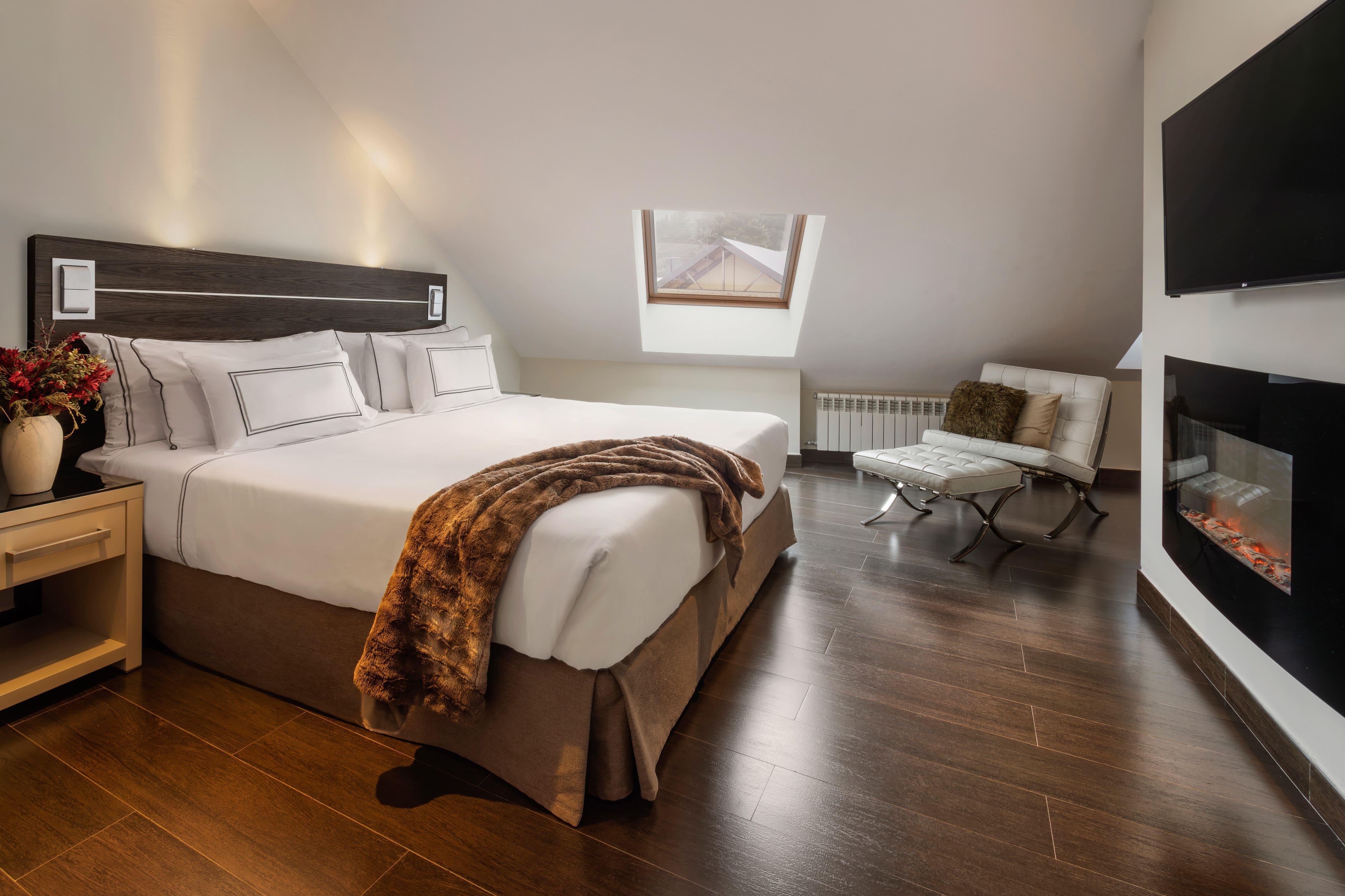 Junior Suite with Terrace