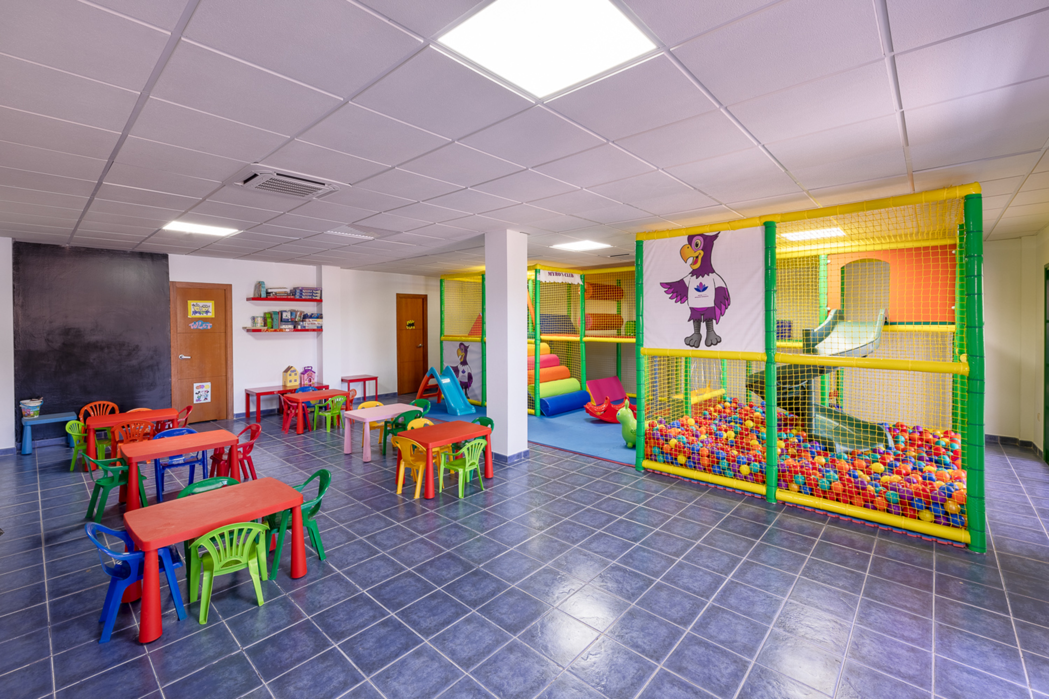 Sports and Entertainment