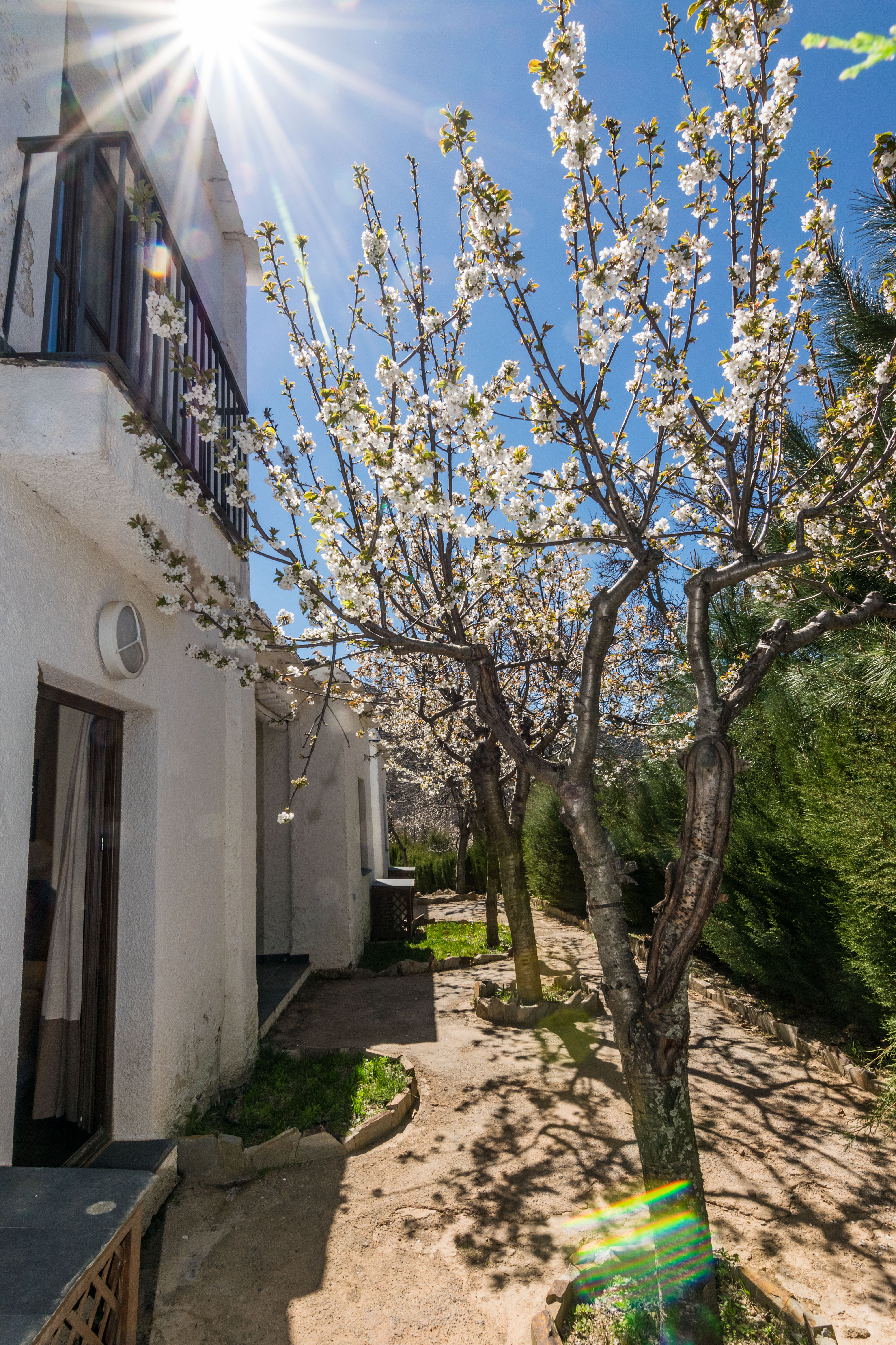 Villa Capacity 3 One Bedroom