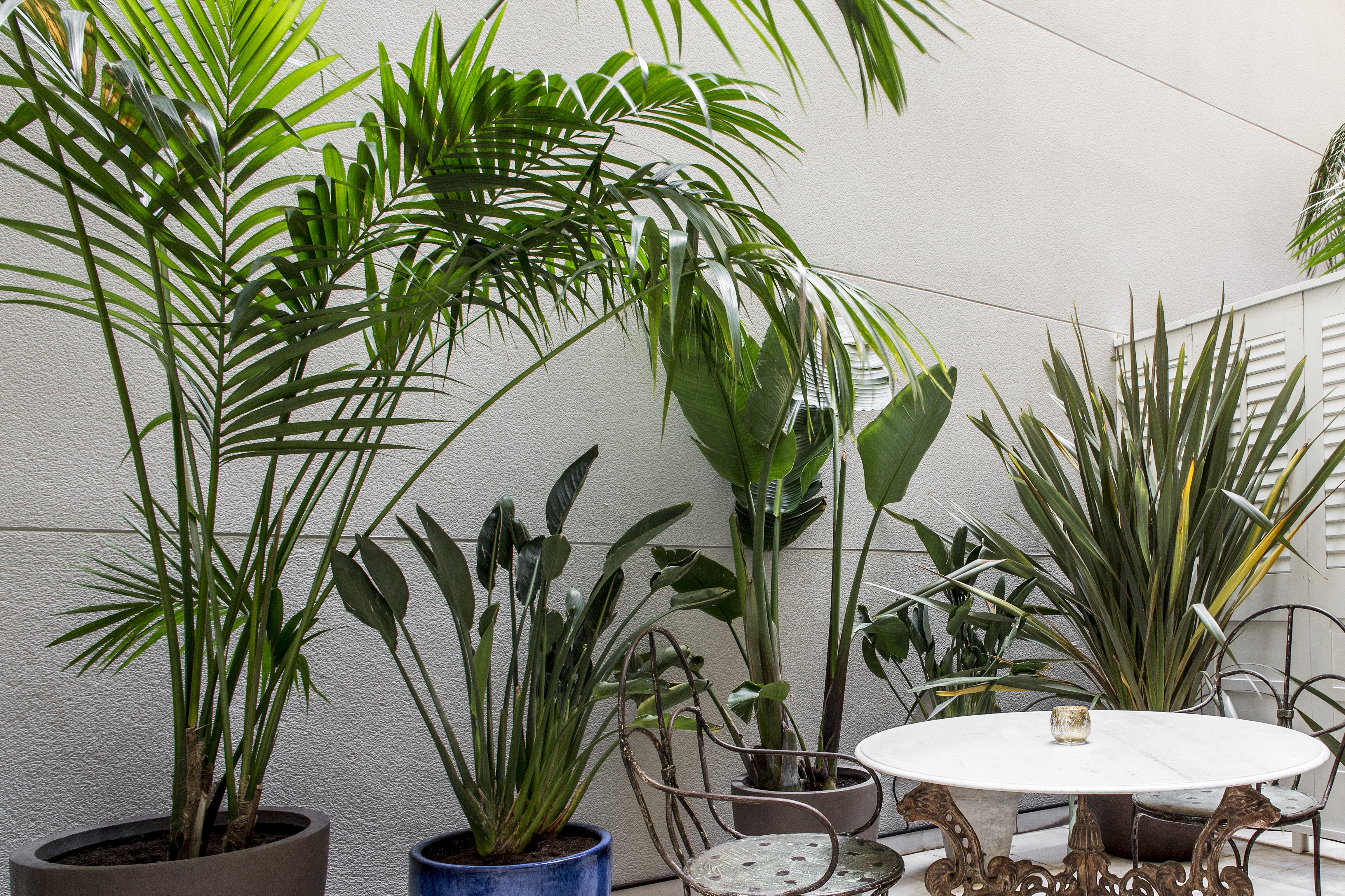 Double Superior with Terrace