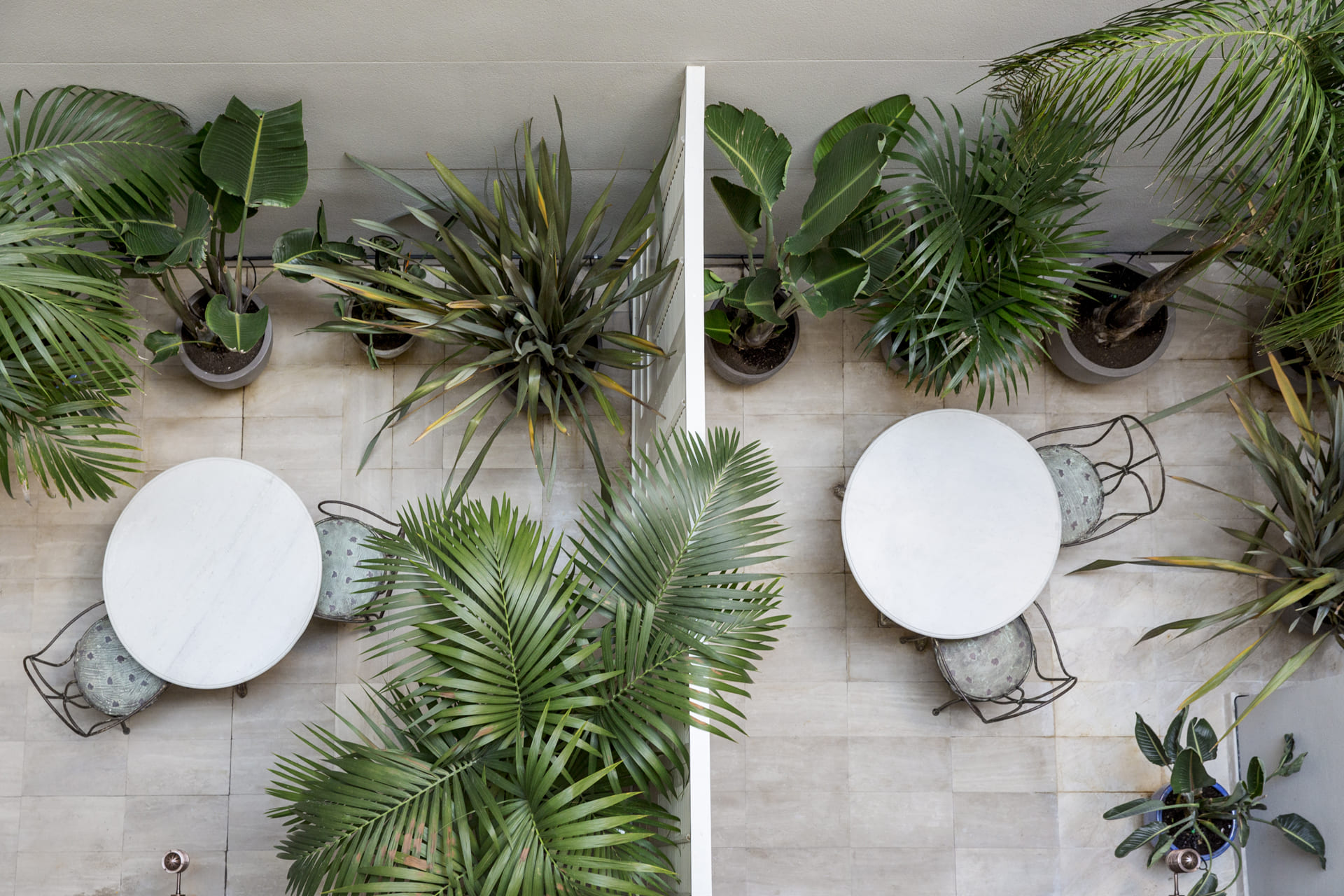 Double or Twin with Terrace