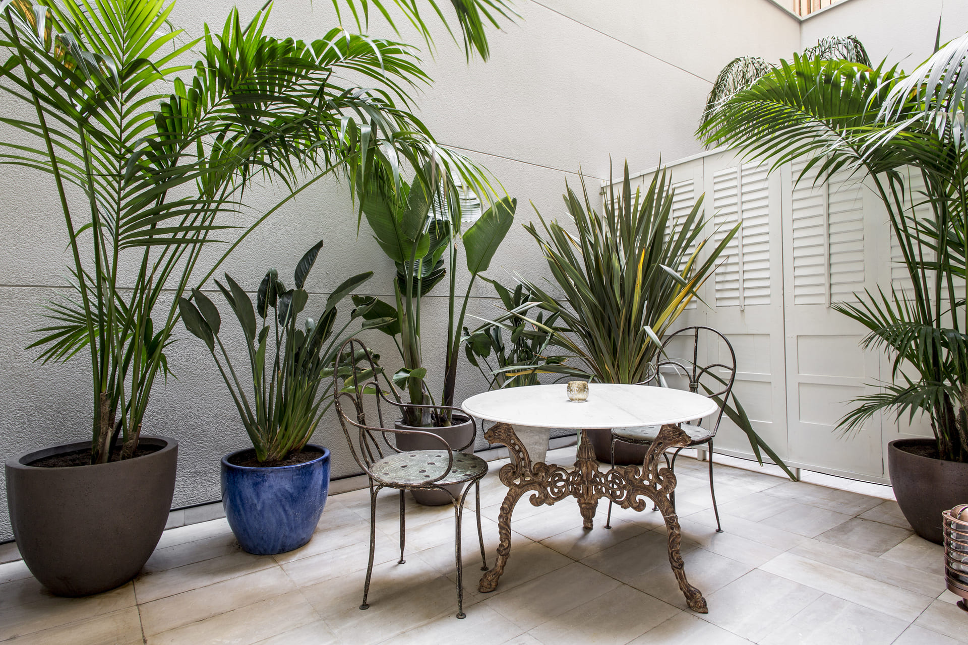 Double or Twin with Terrace