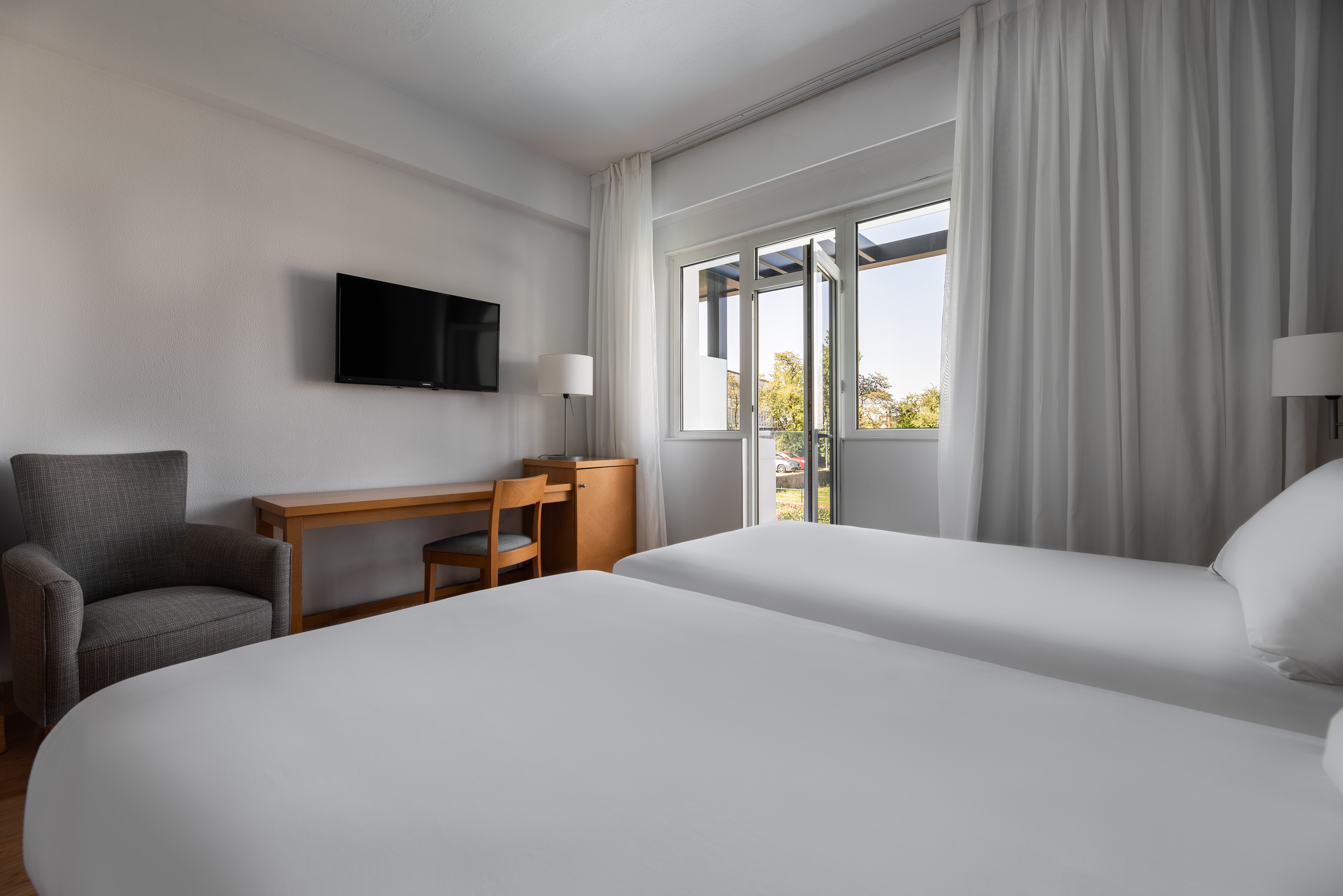 Double or Twin Deluxe with Terrace