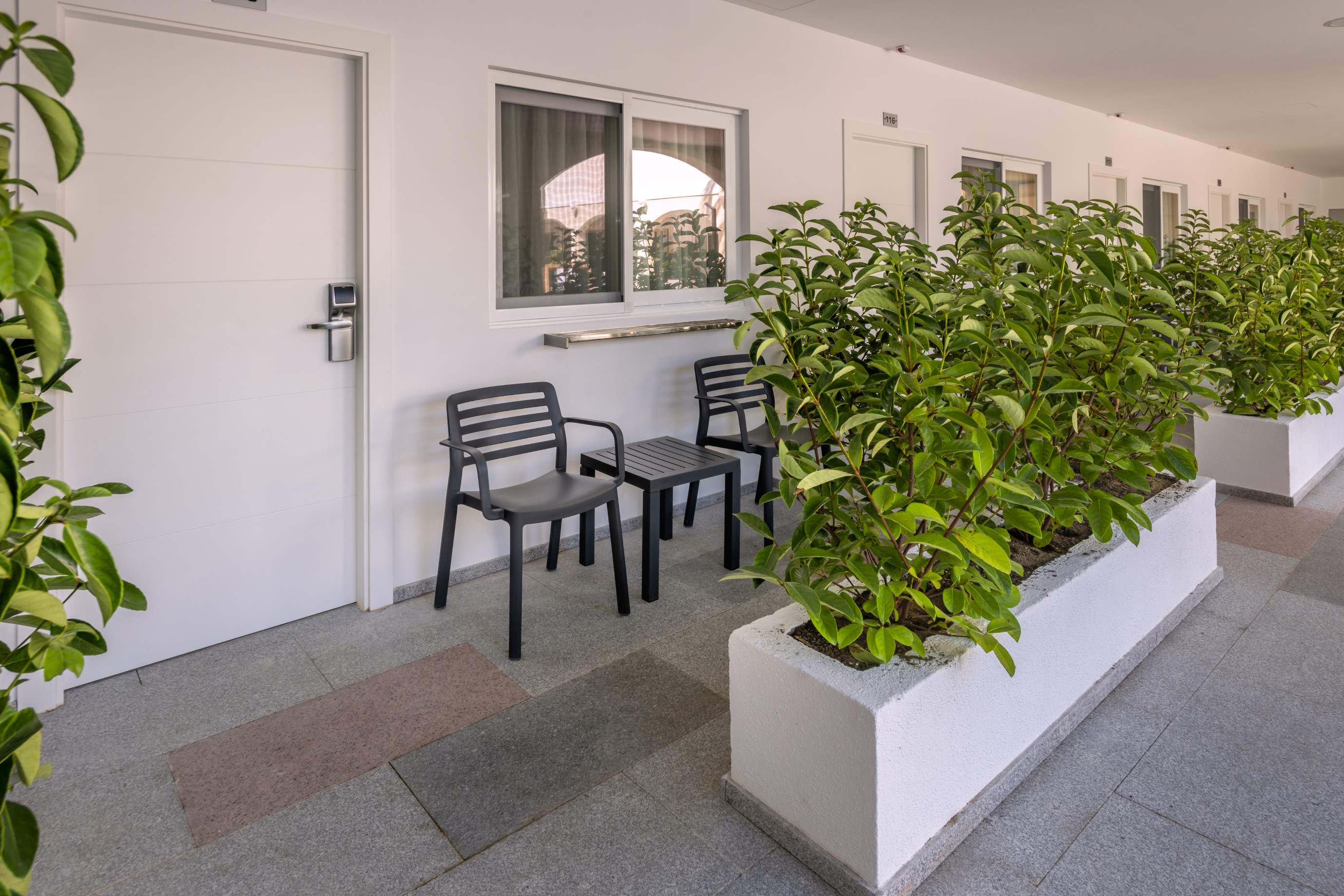 Double or Twin Standard