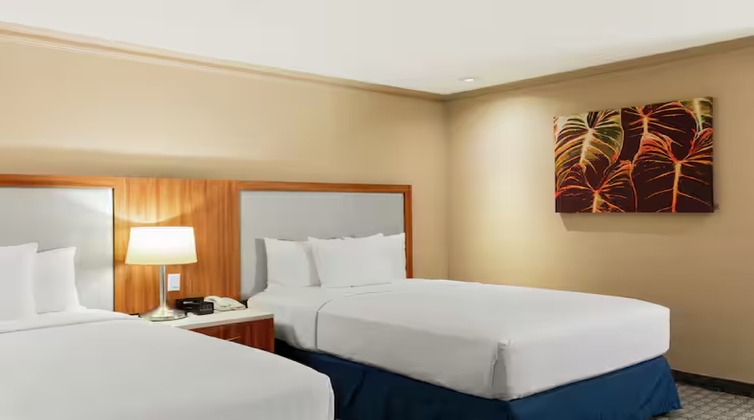 Double Two Double Beds