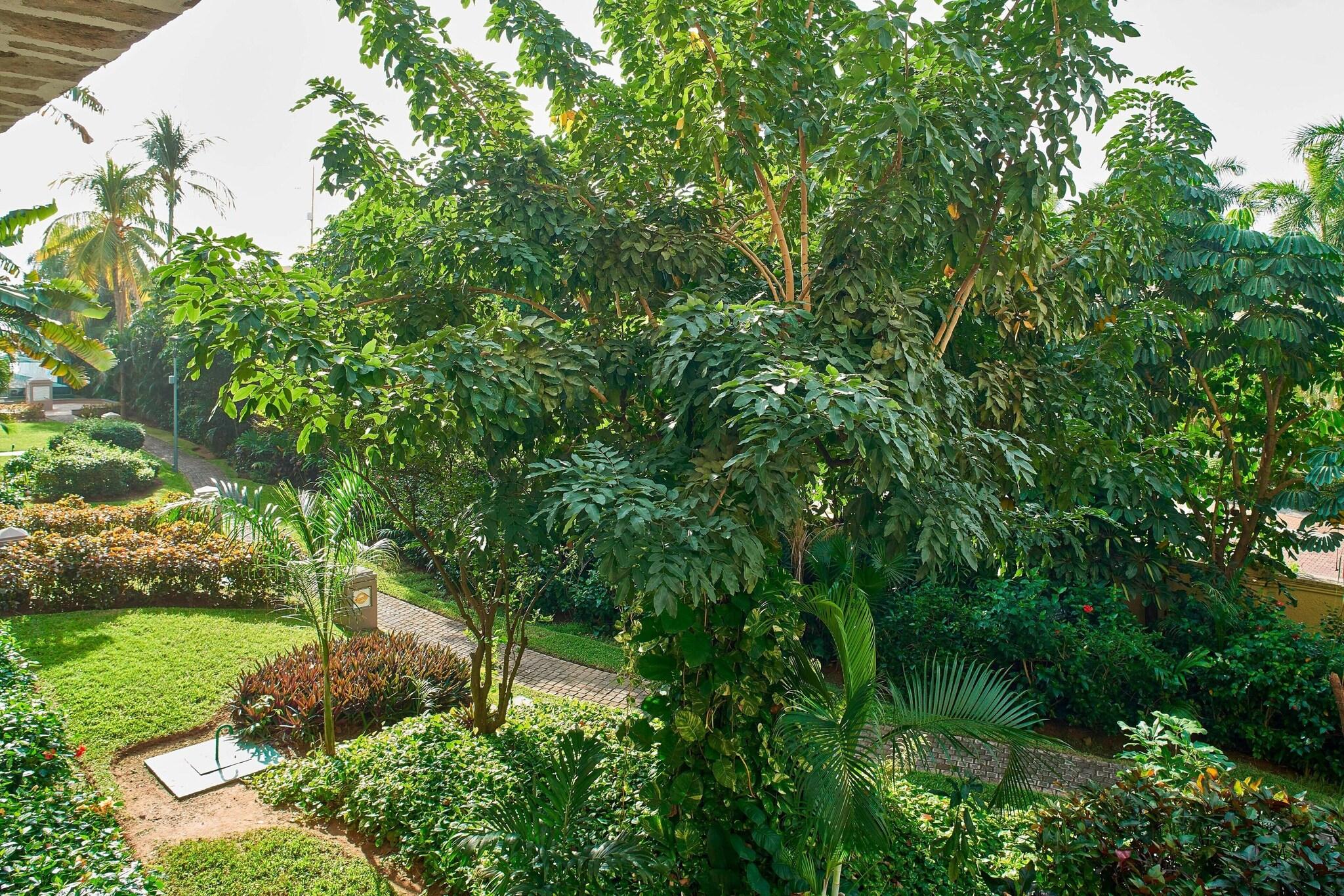 Double Garden View King Bed