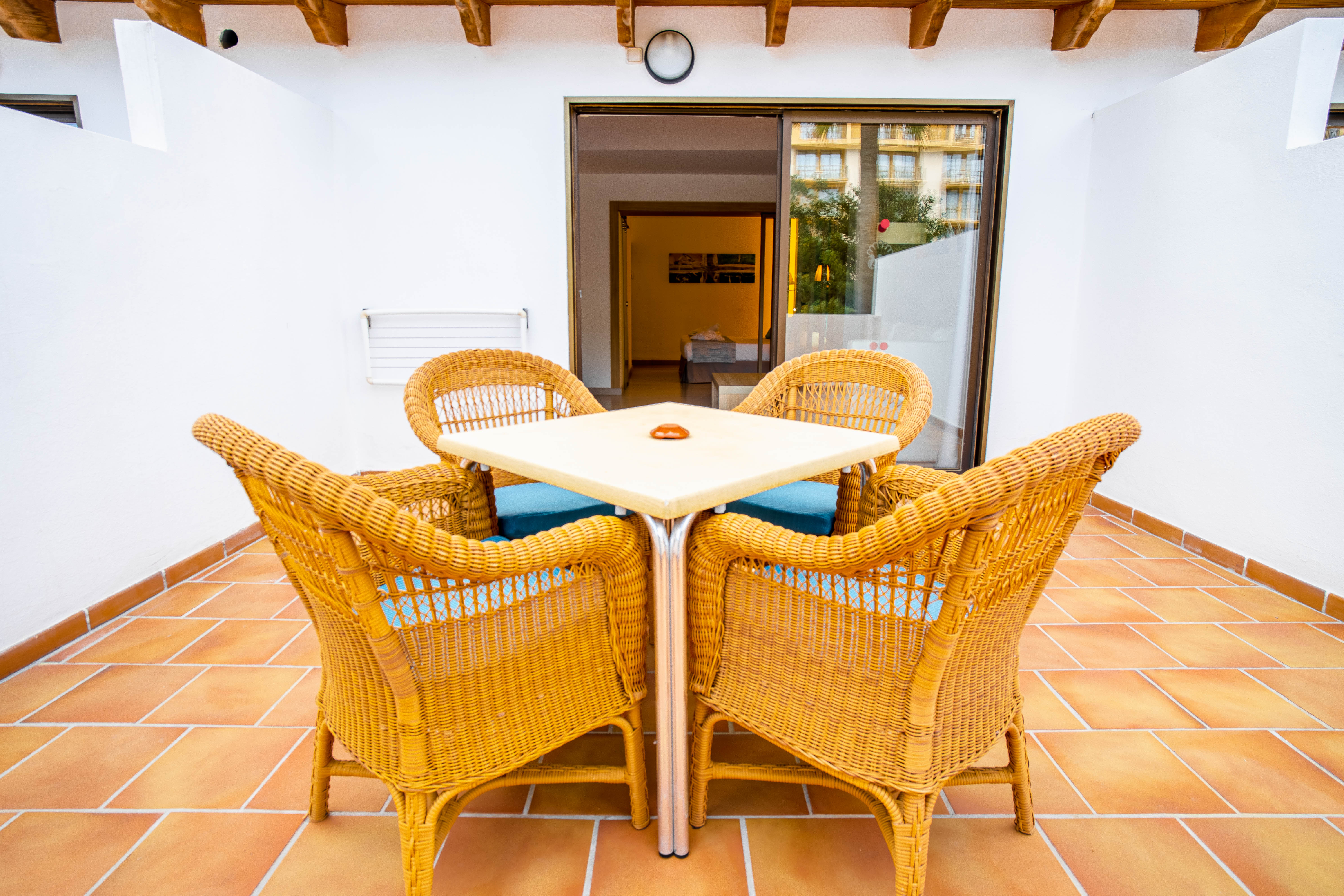 Junior Suite with Terrace