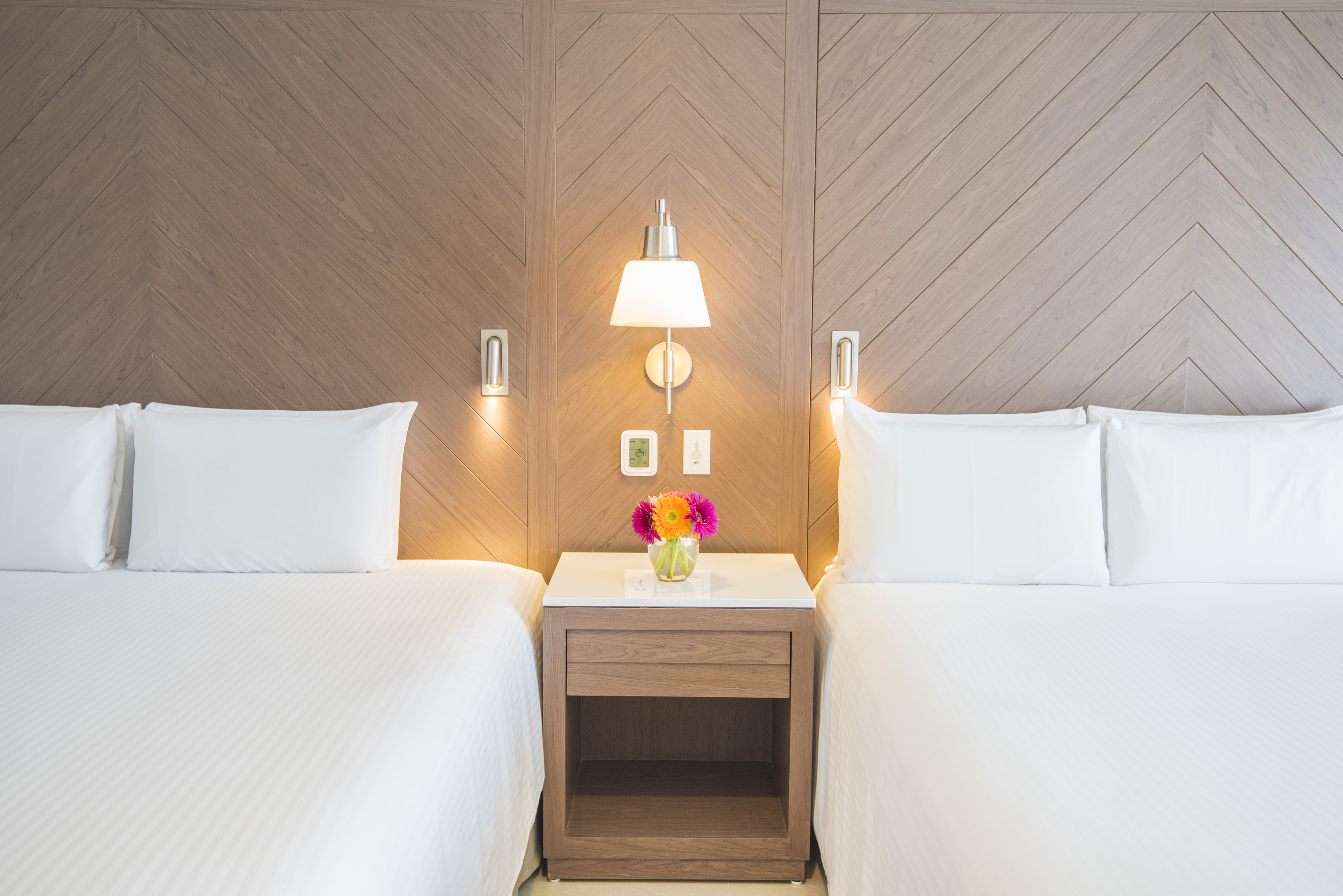 Double or Twin Standard