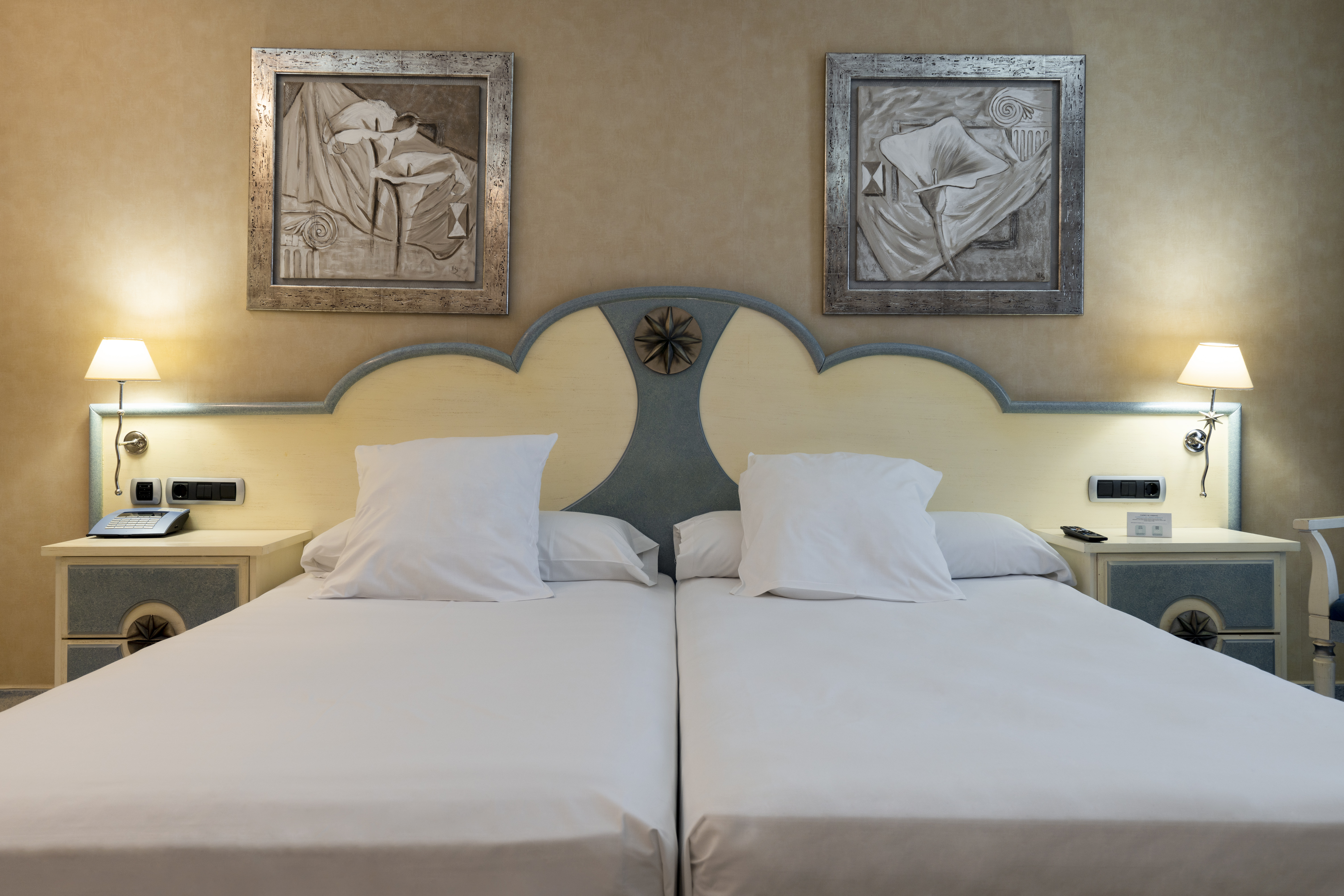 Double or Twin Standard