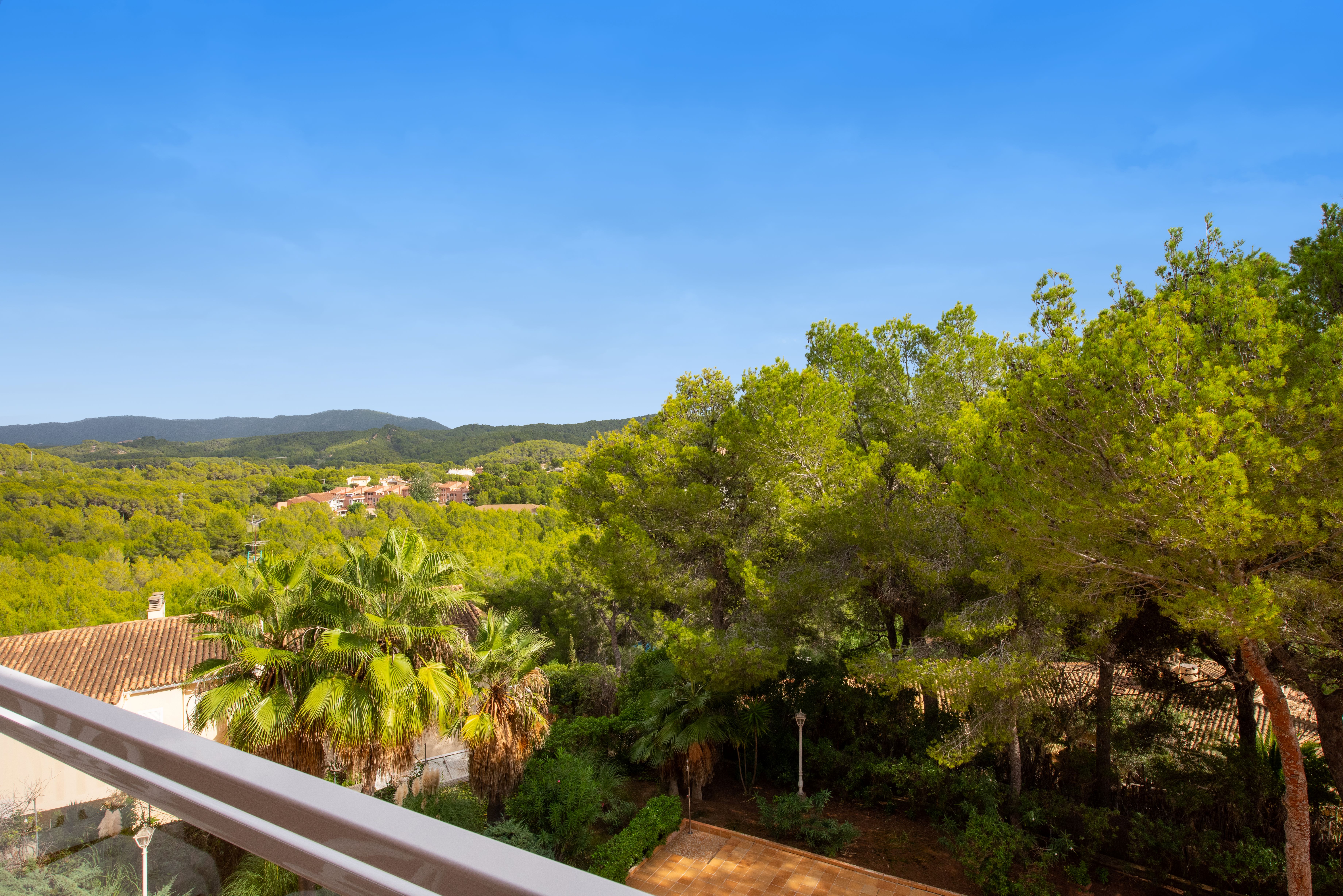 Apartment Garden View