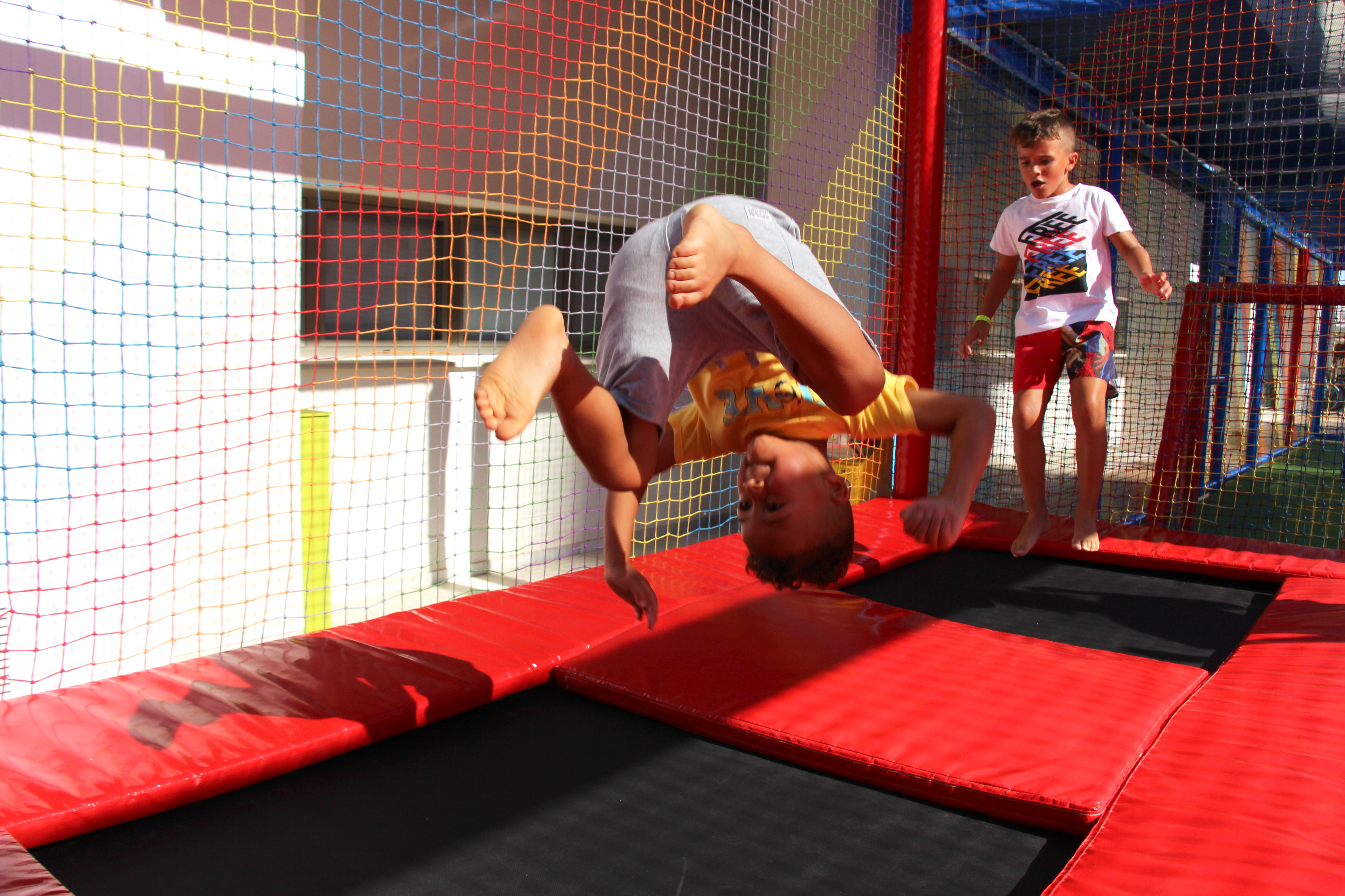 Sports and Entertainment