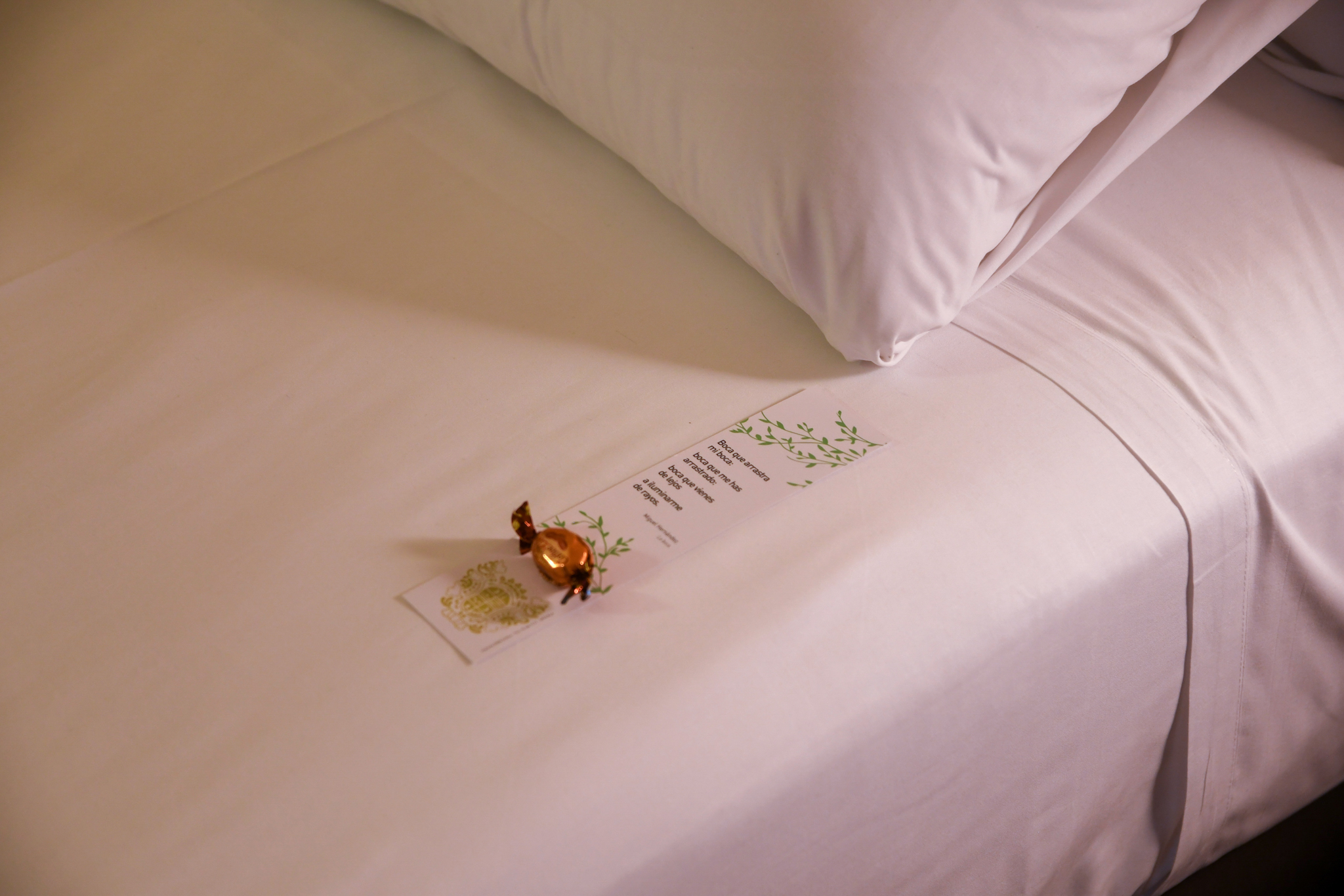 Double Single Standard