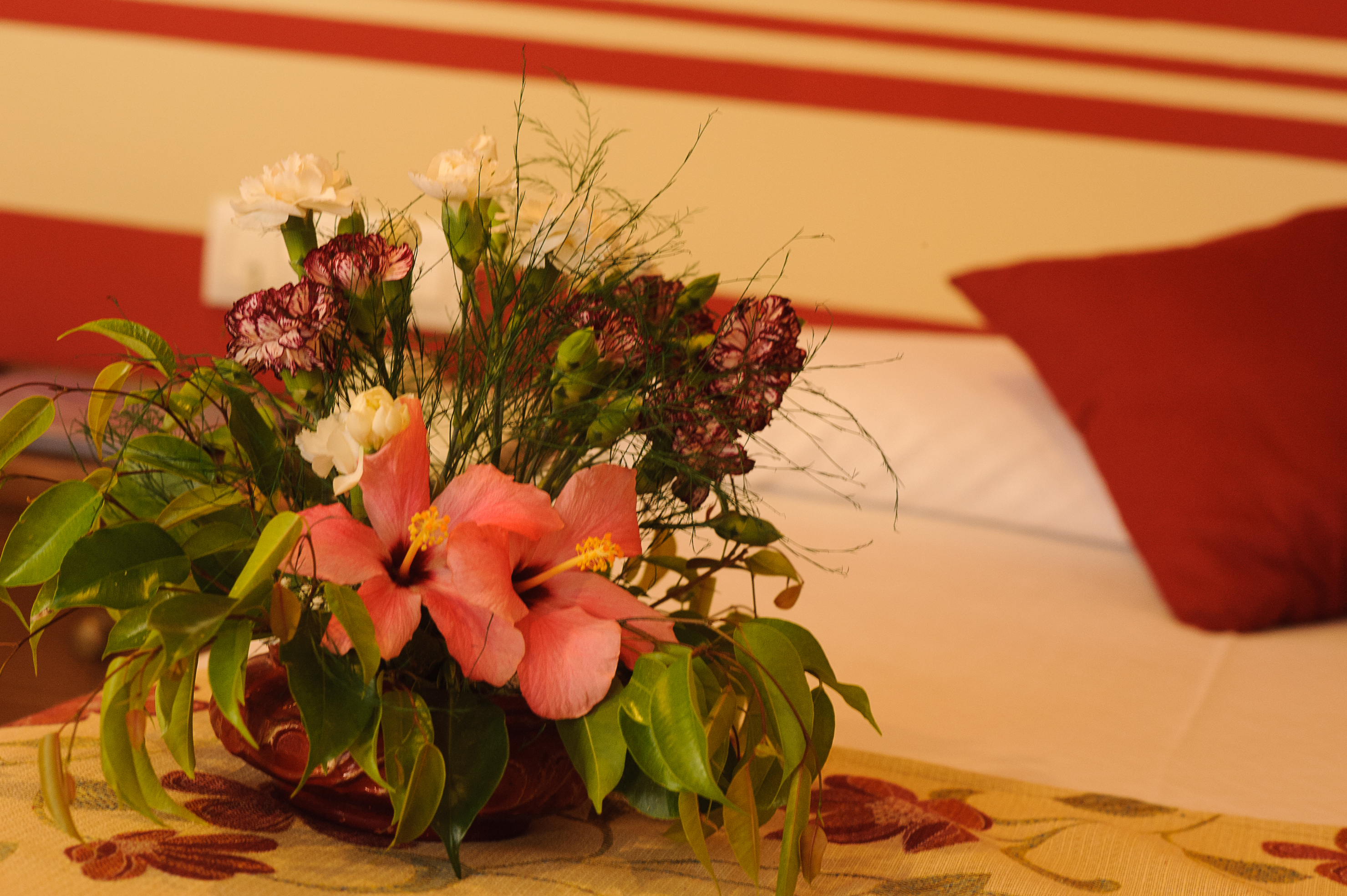 Double or Twin Standard