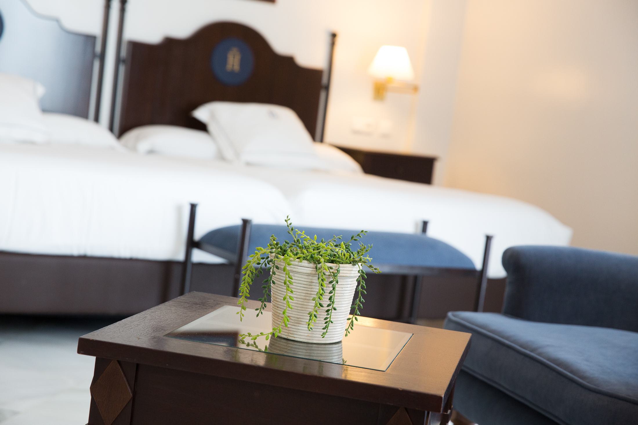 Double or Twin Superior