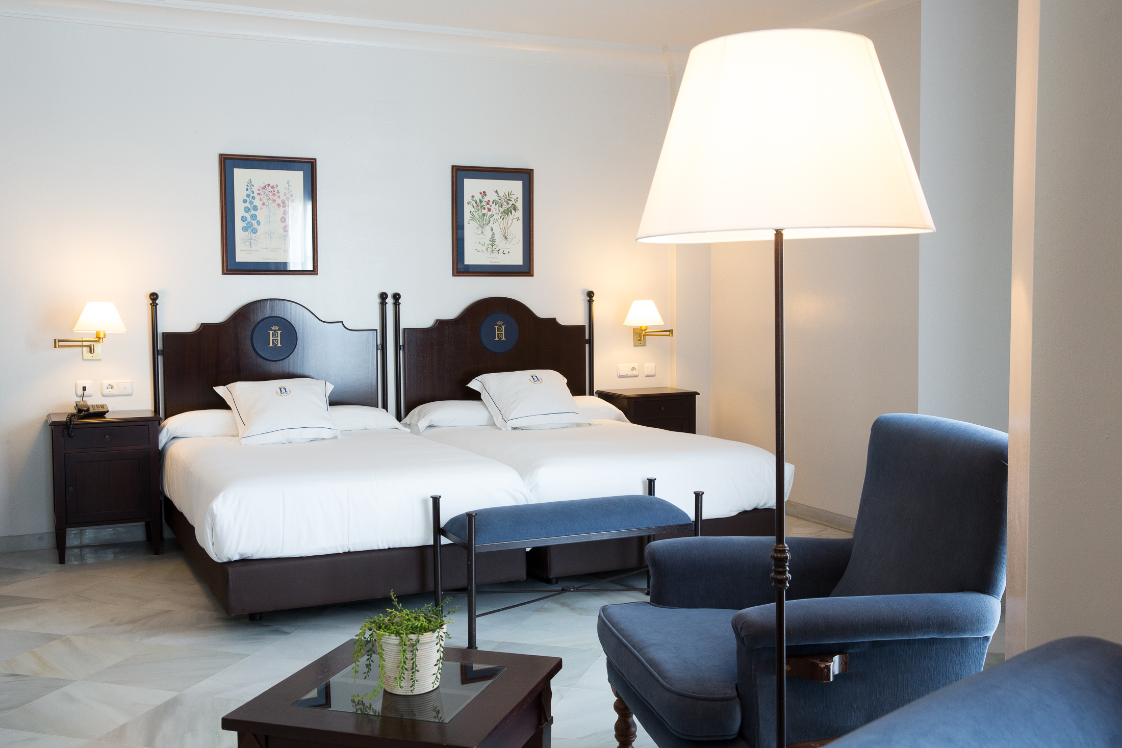 Double or Twin Superior