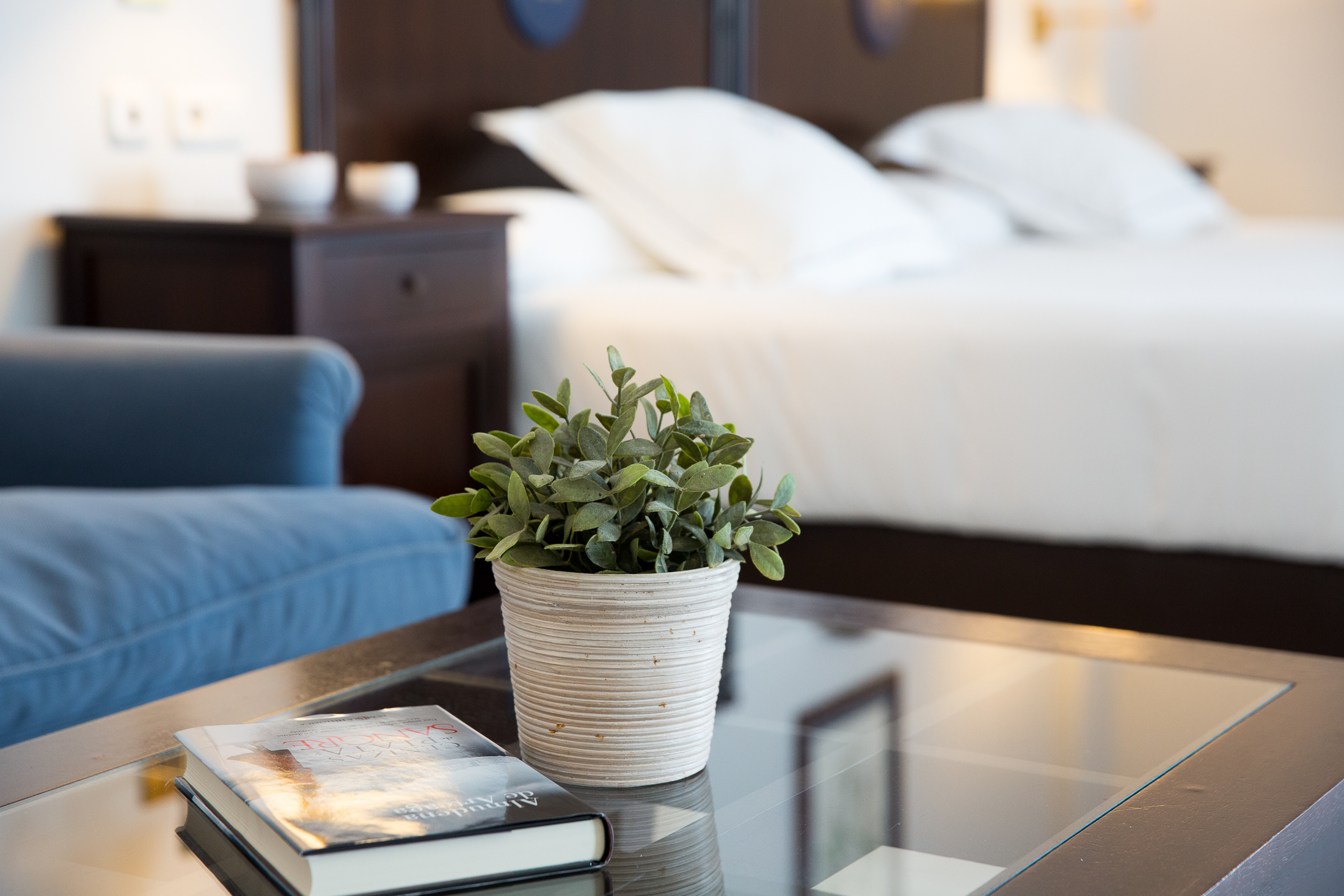 Double or Twin Superior