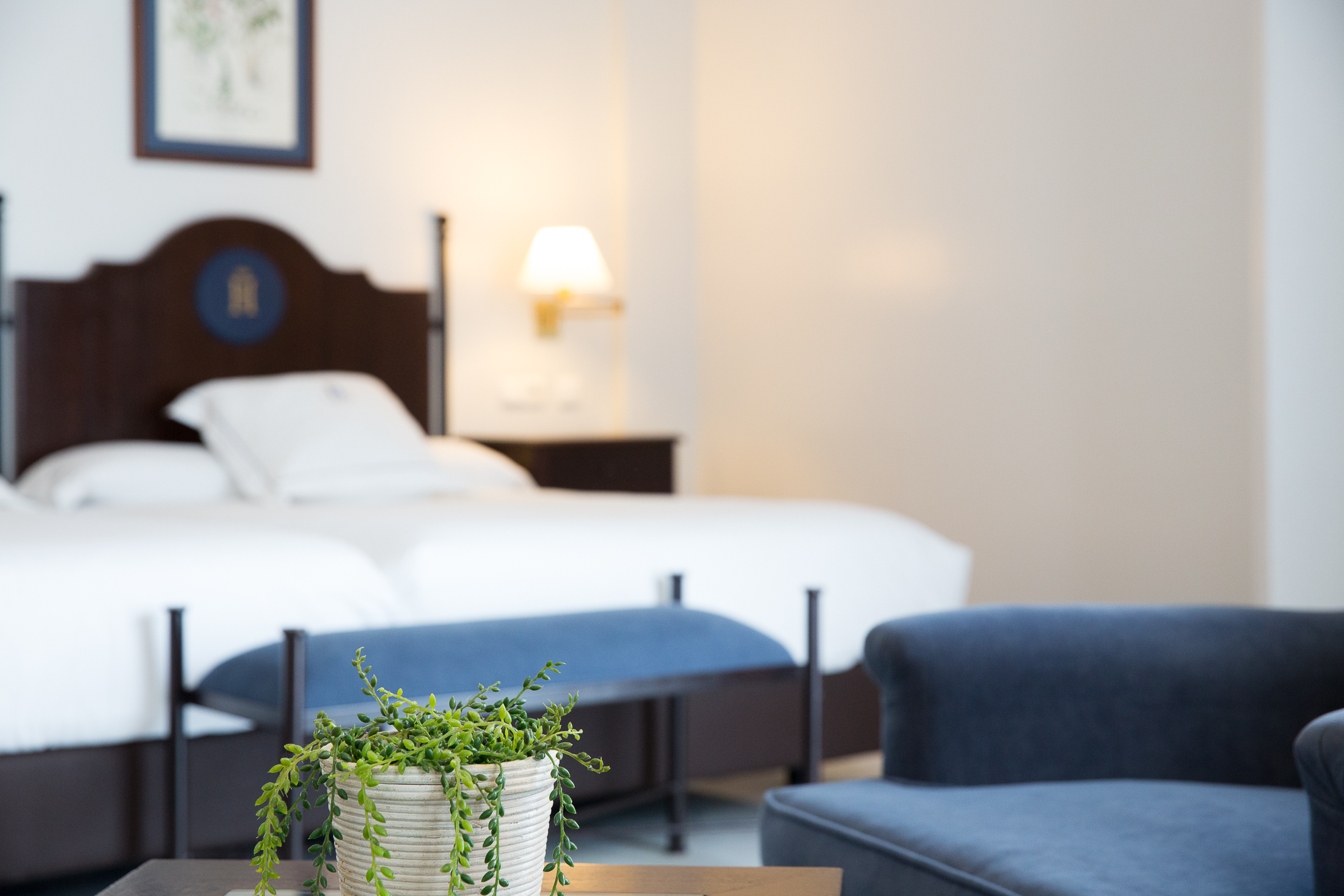 Double or Twin Superior