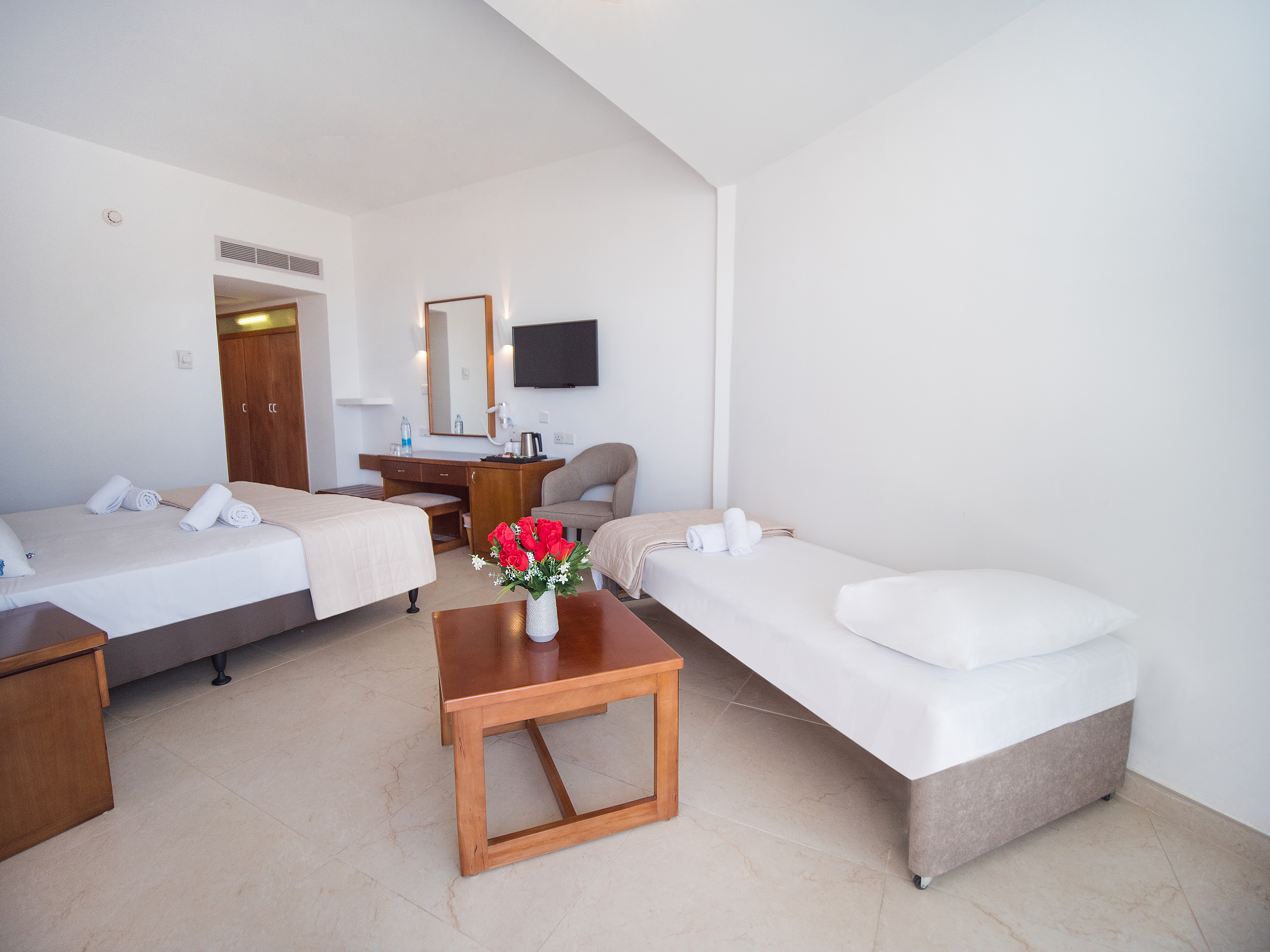 Double or Twin Park View