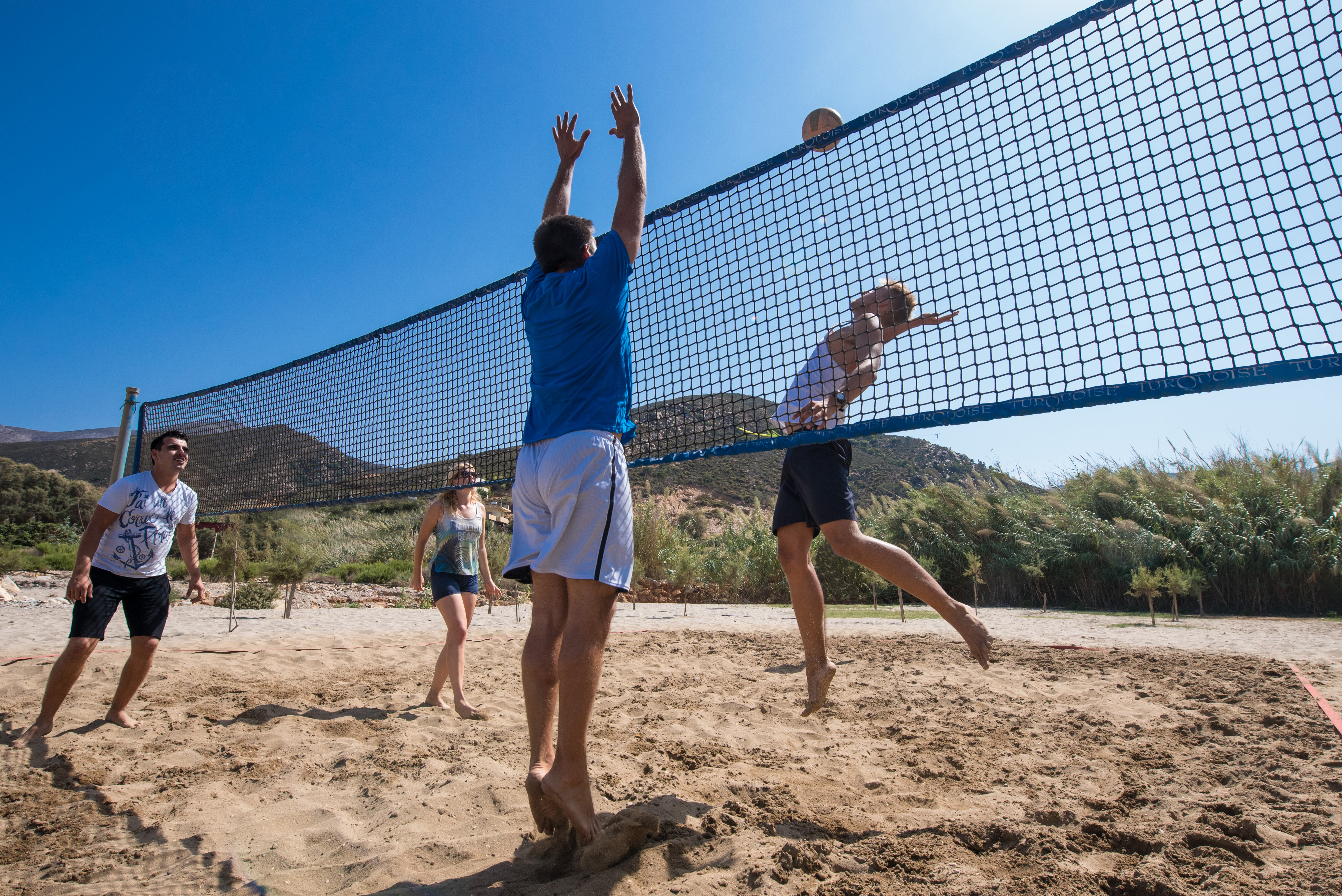 Sports and Entertainment