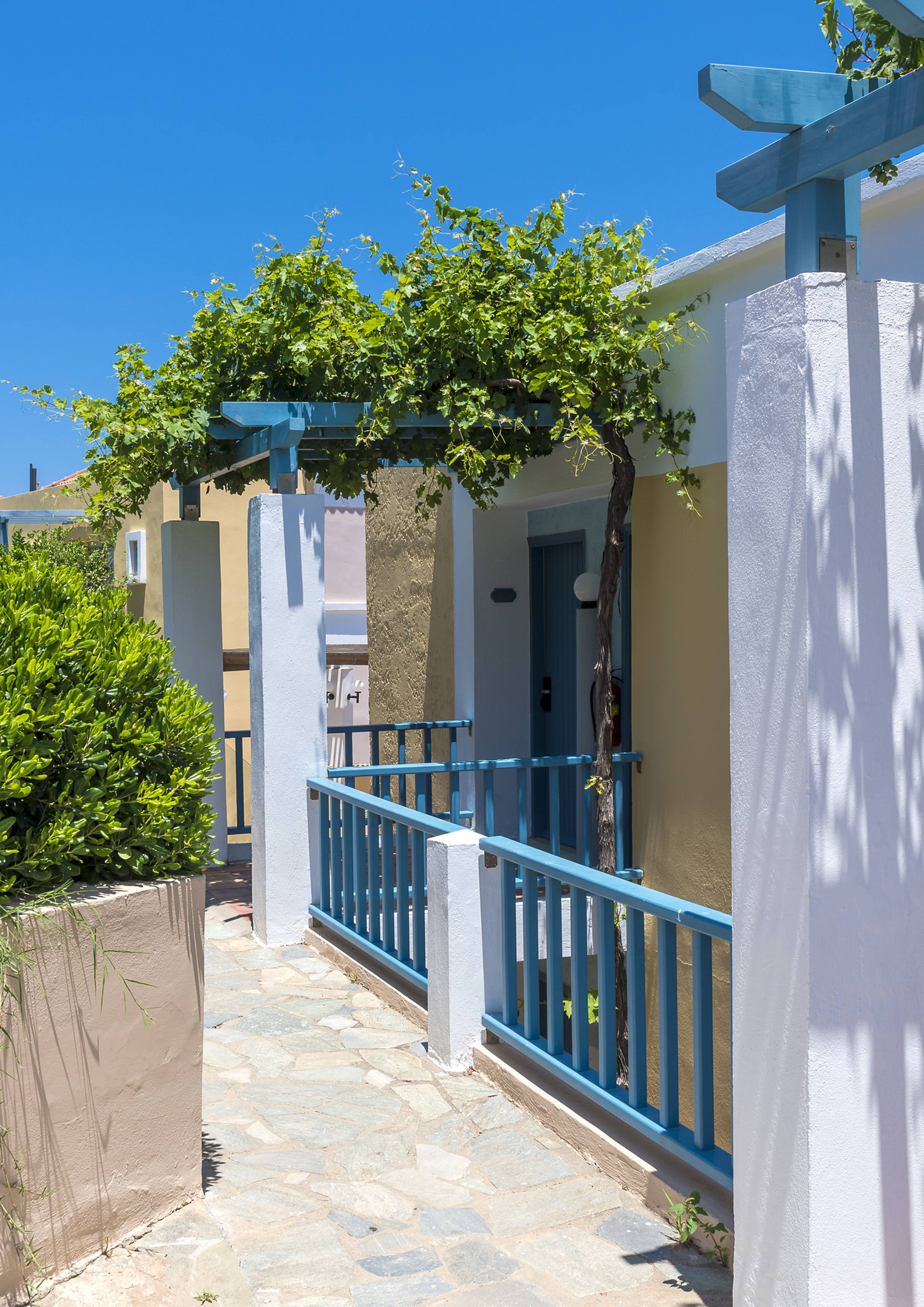 Double Single Standard