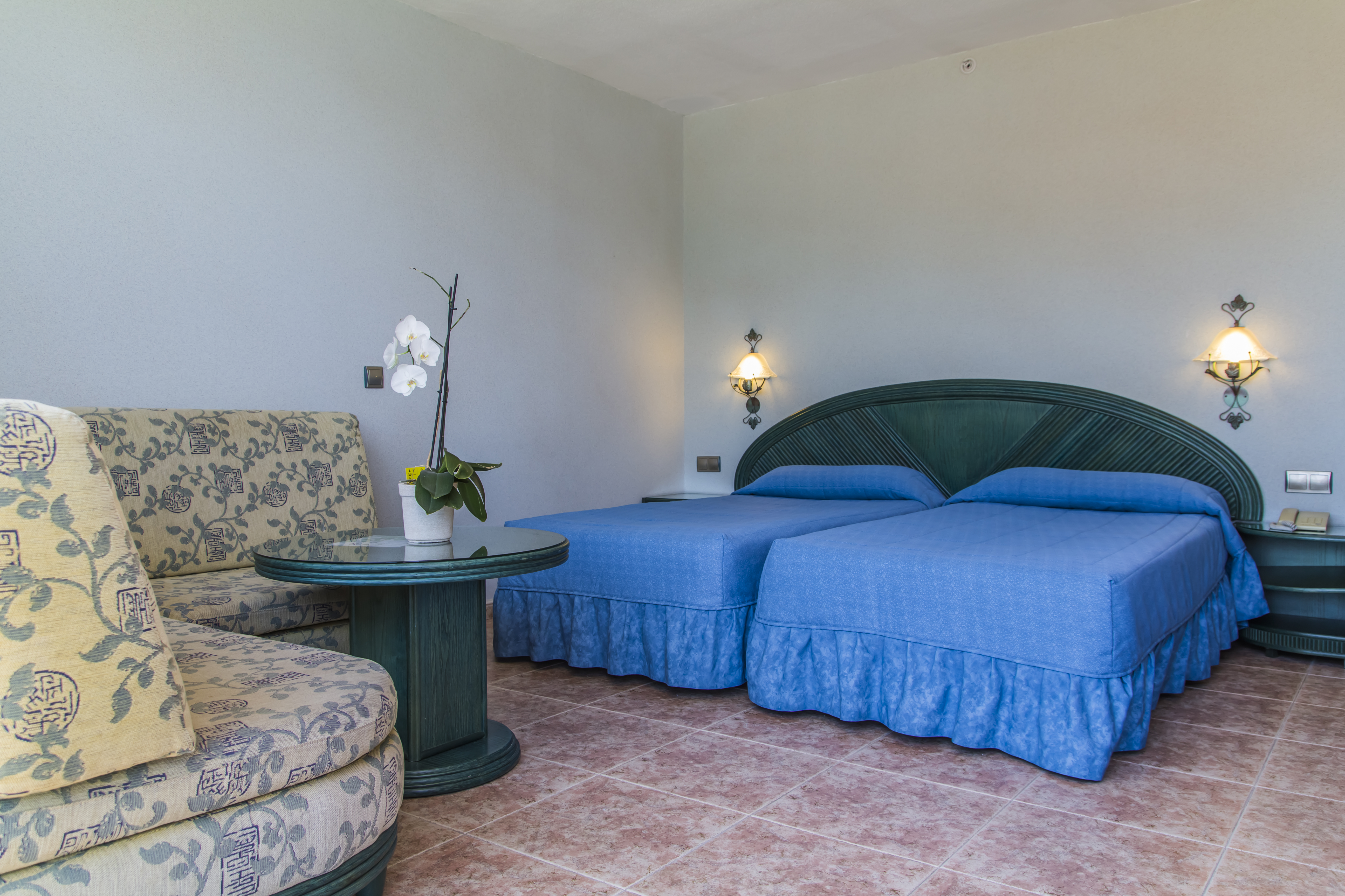 Double or Twin Economy