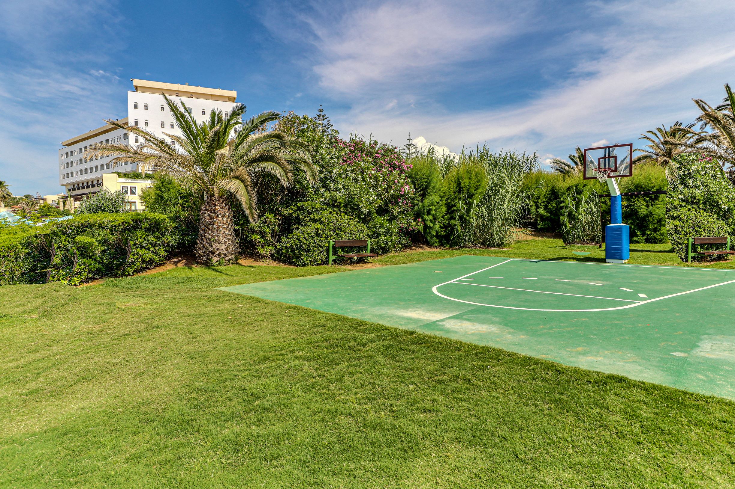 Sports and Entertainment