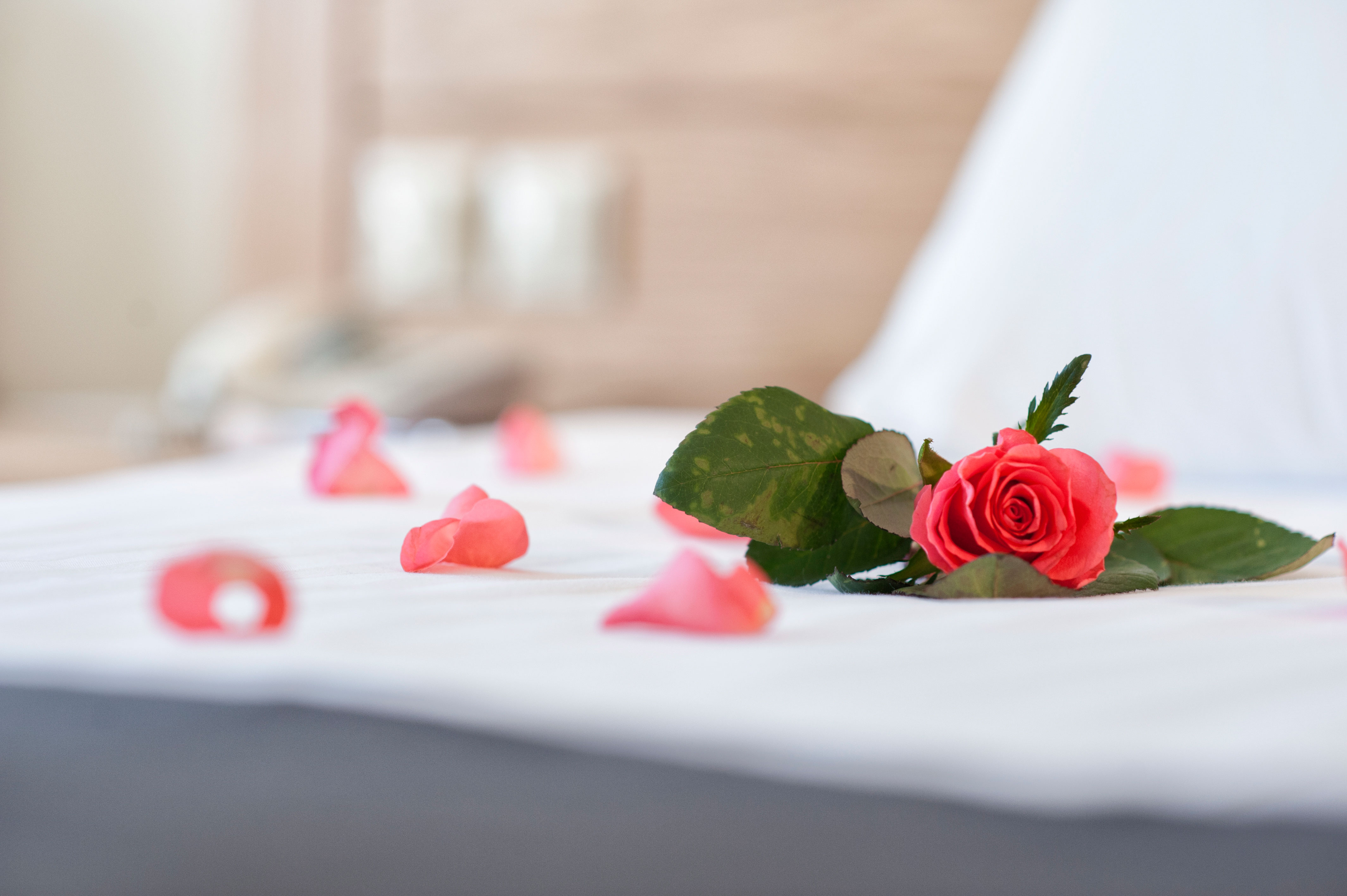 Bungalow Superior Sea View