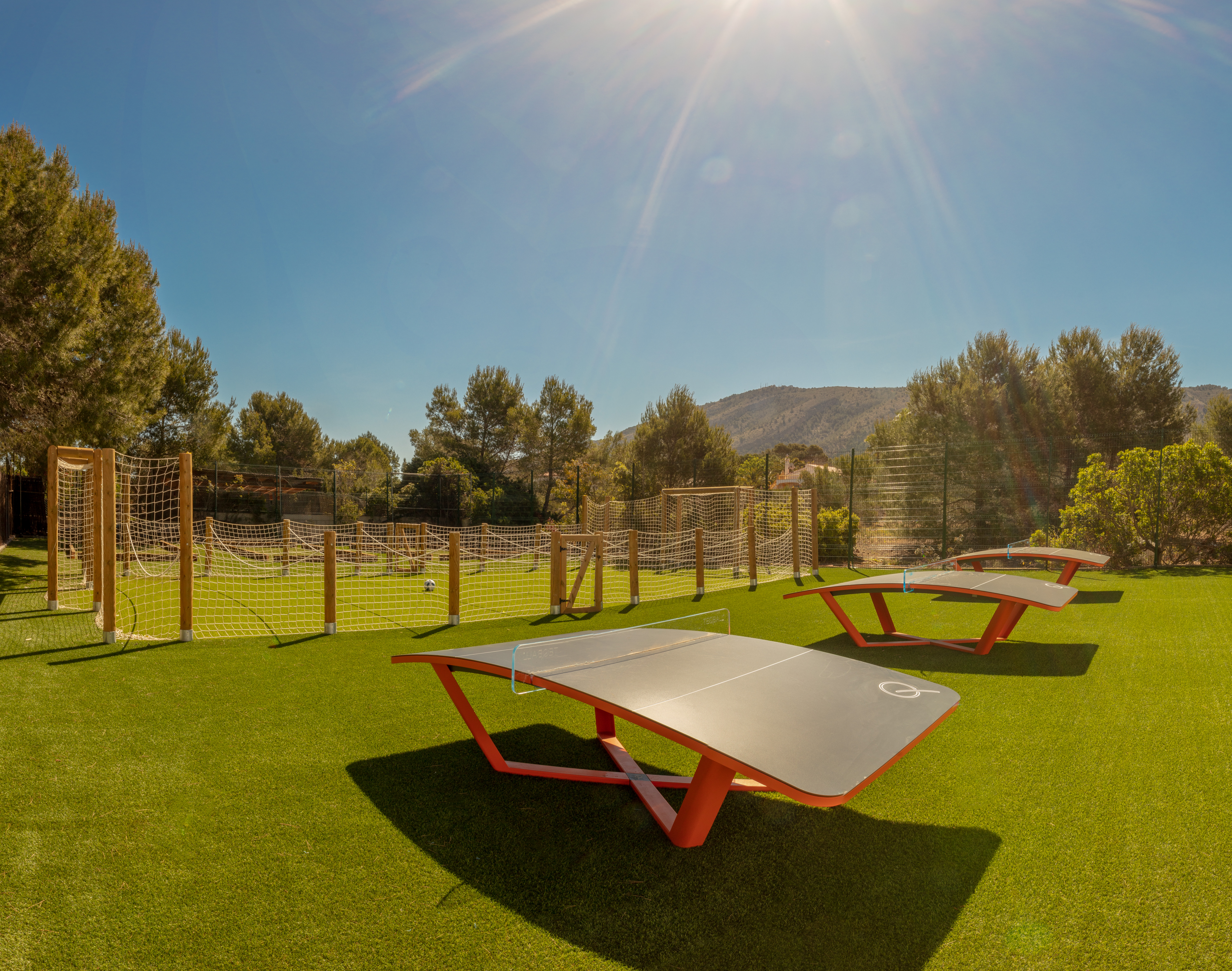 Sports and Entertainment