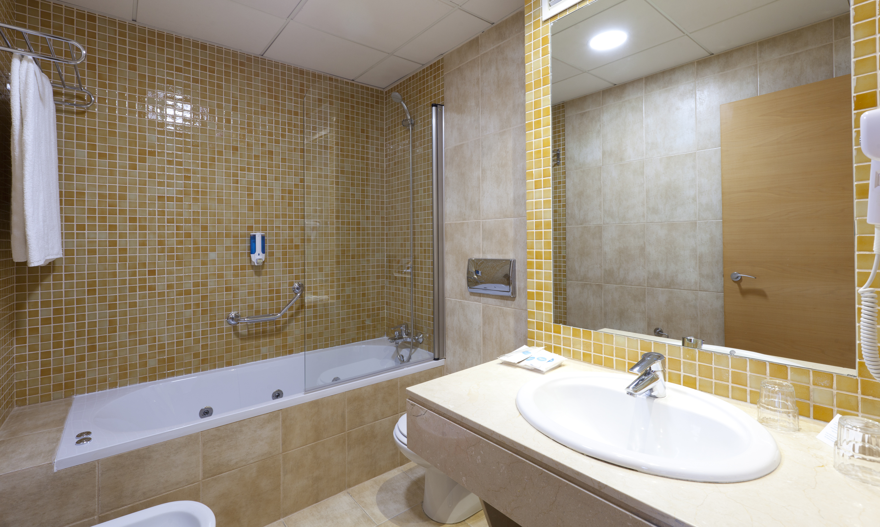 Double or Twin Superior