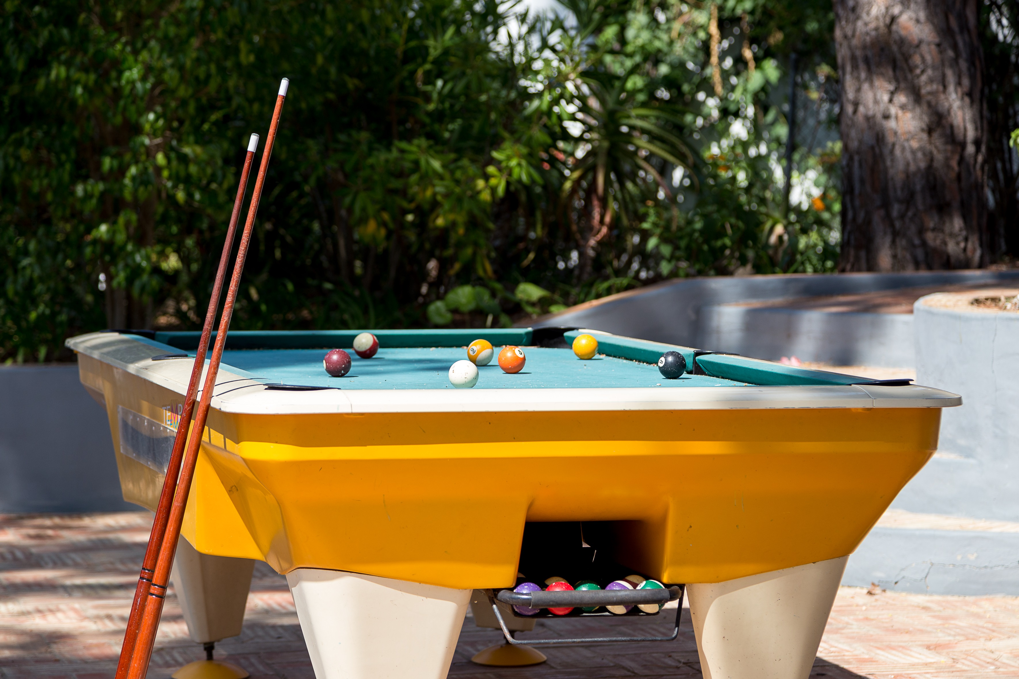 Sports and Entertainment