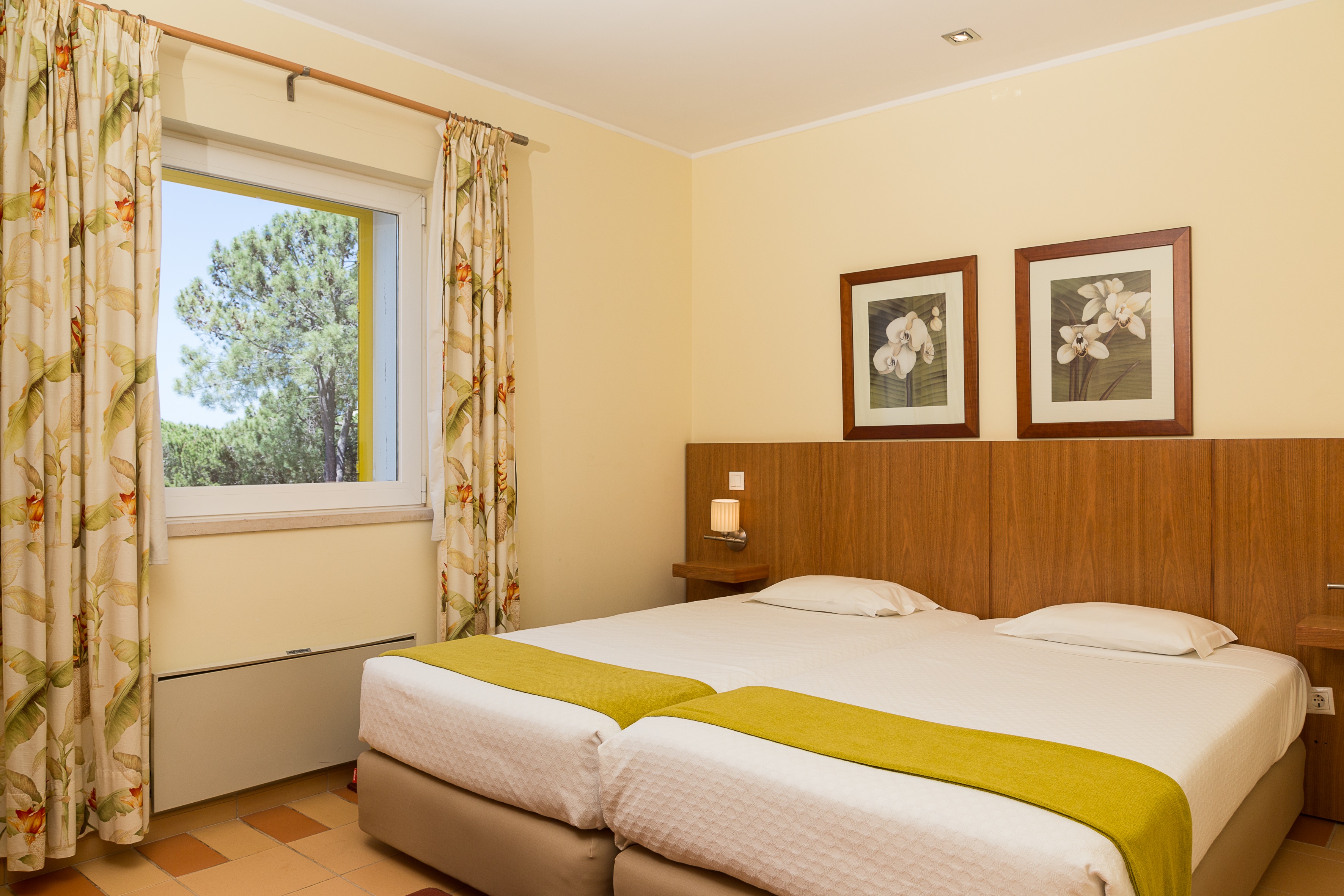 Apartment One Bedroom