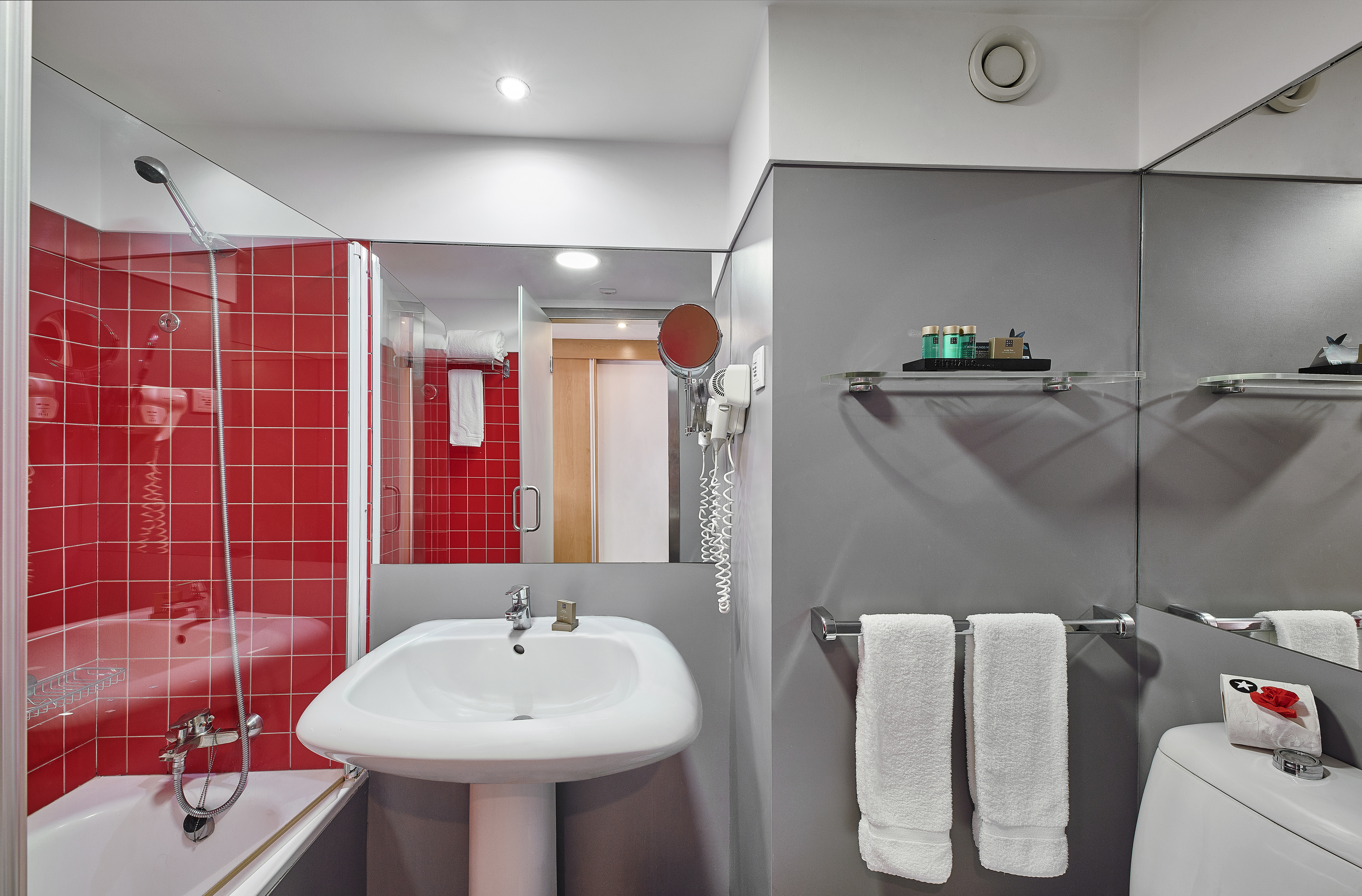 Double or Twin Economy