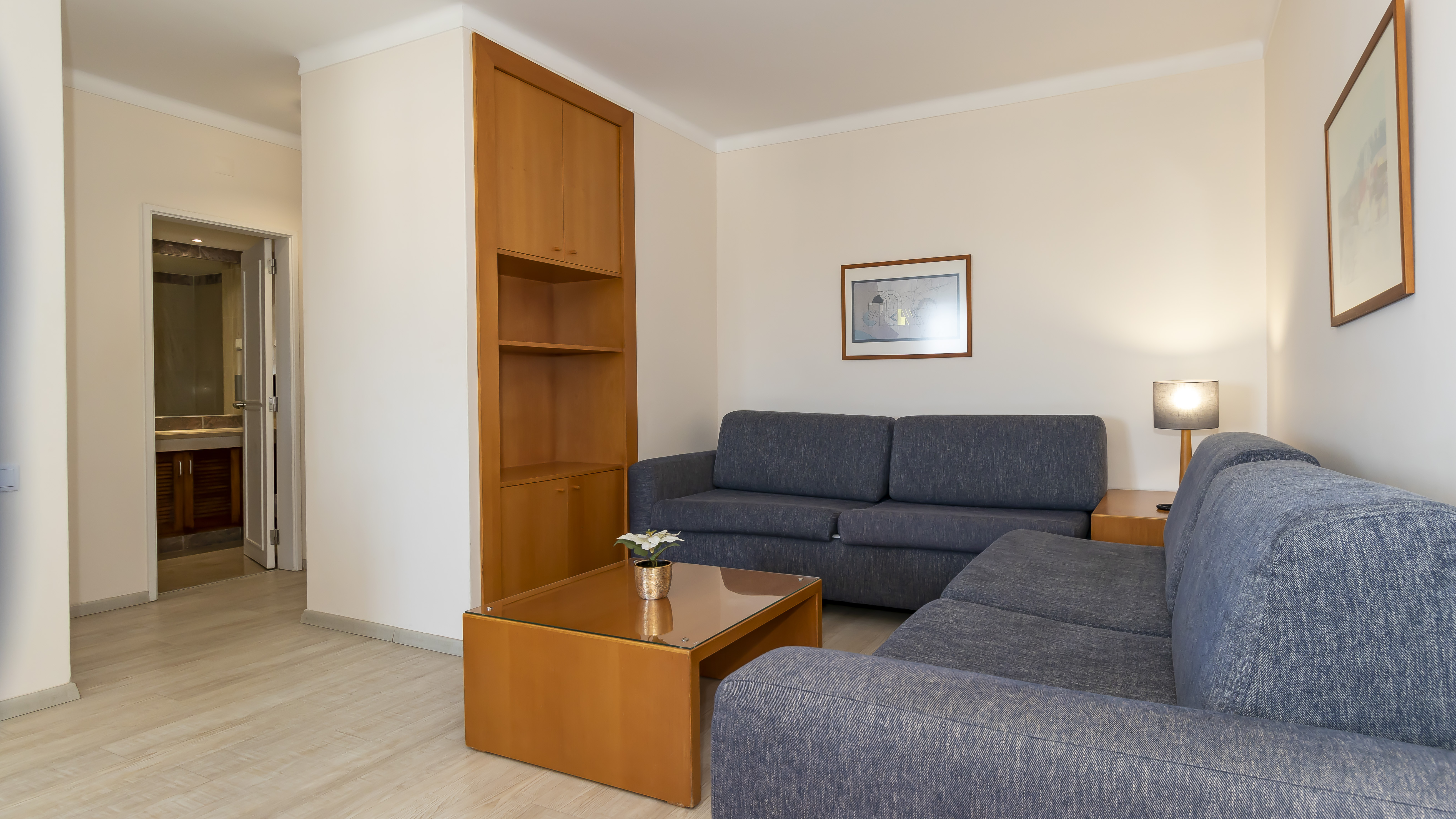 Apartment Superior One Bedroom