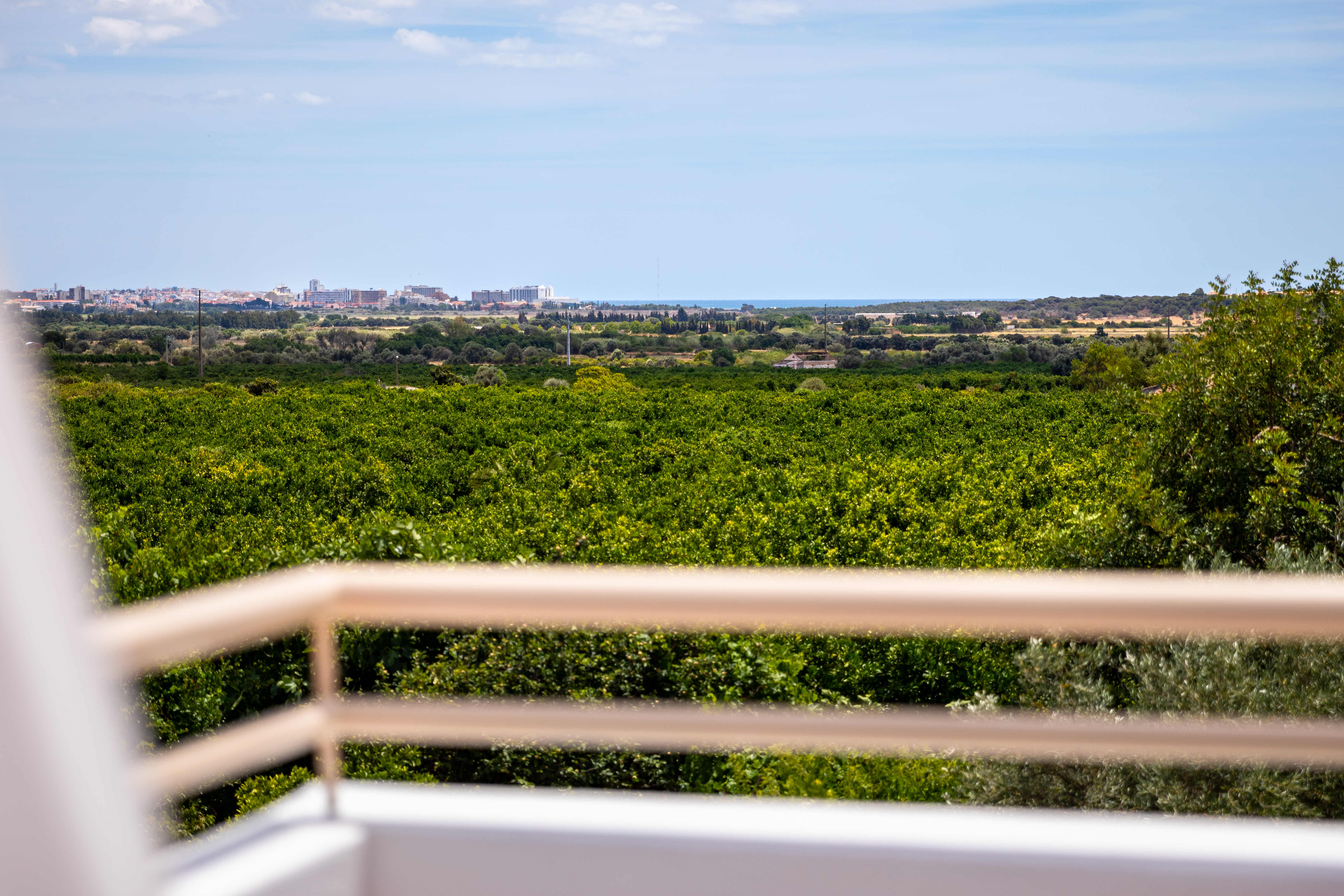 Apartment Superior One Bedroom