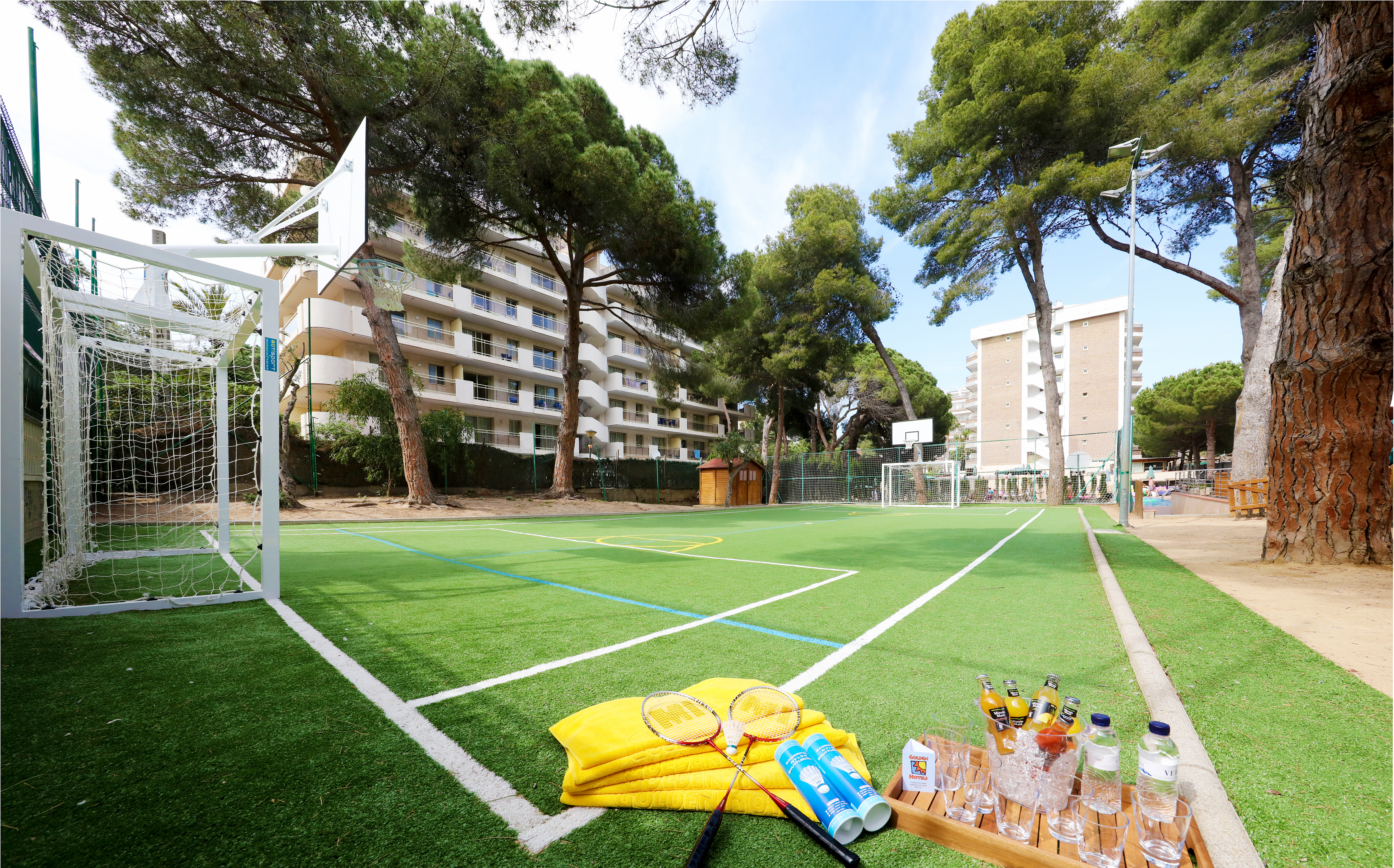 Sports and Entertainment