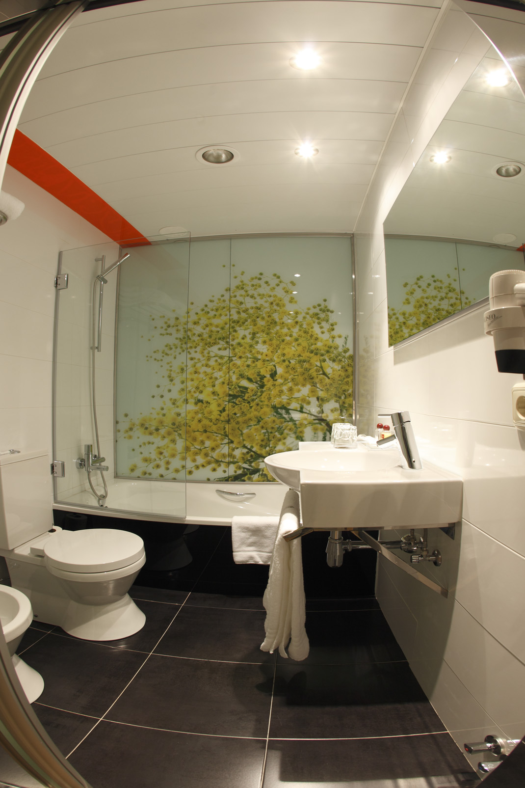 Double Single Standard