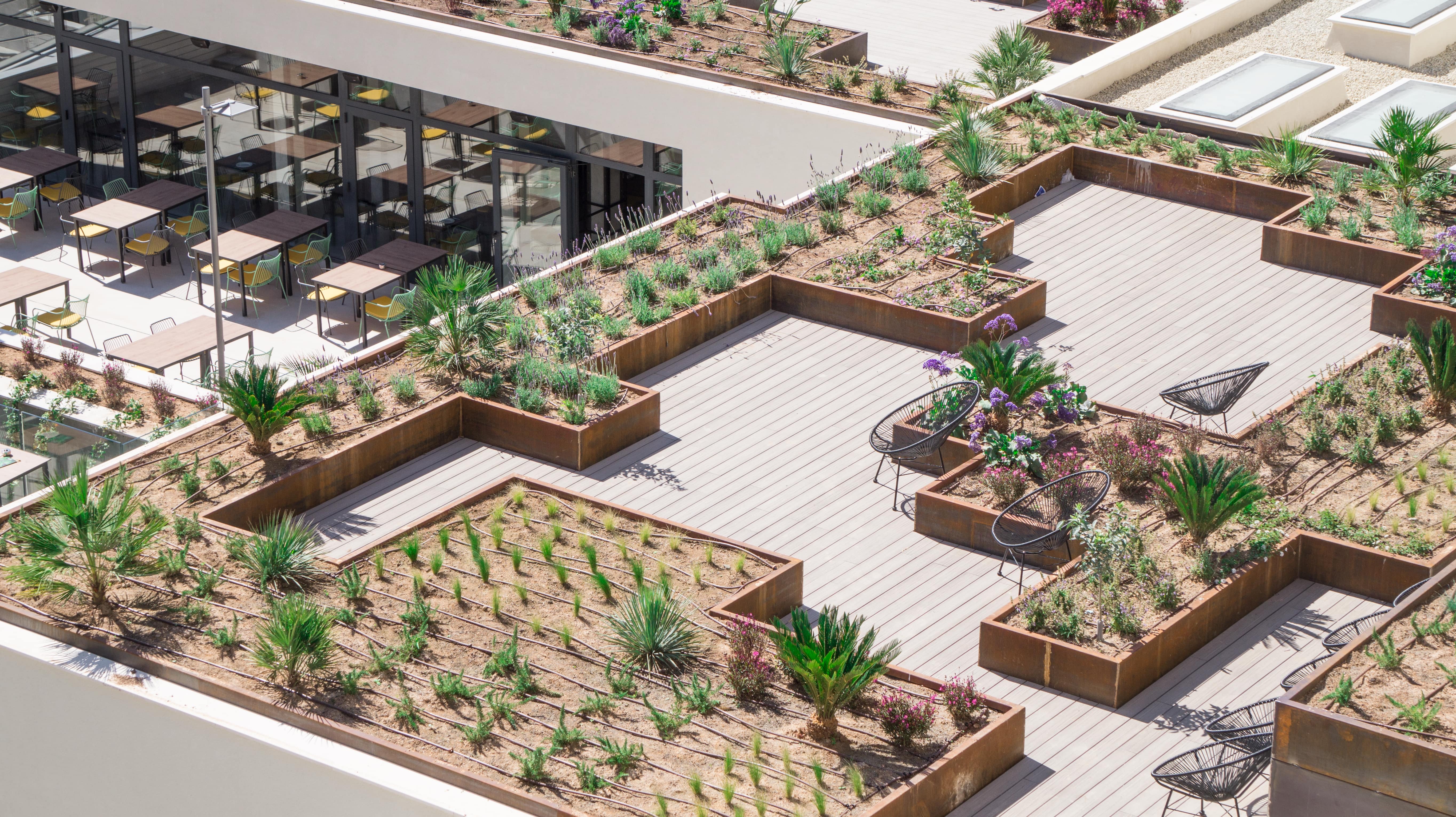 Double or Twin Premium