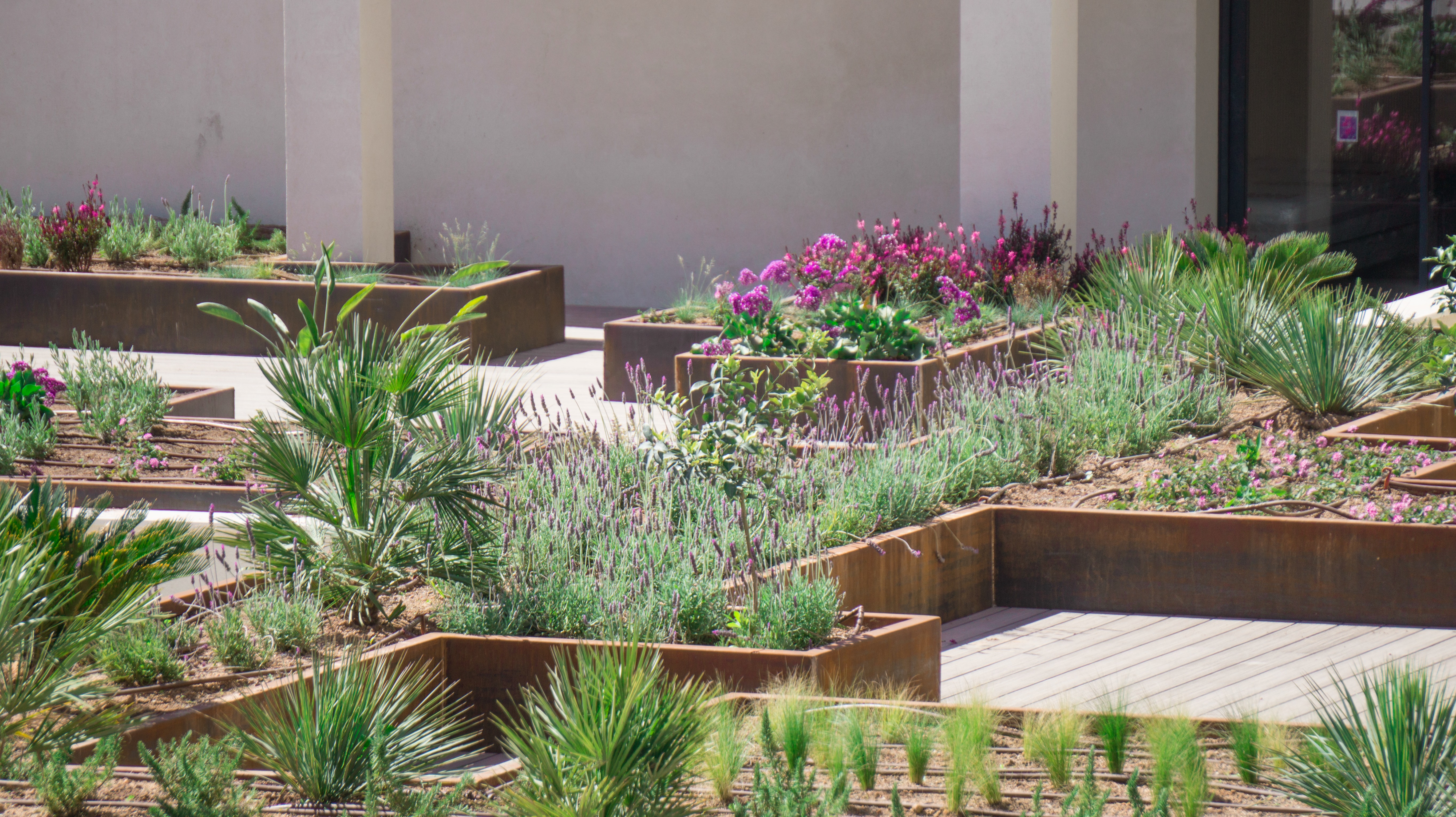 Double or Twin Premium