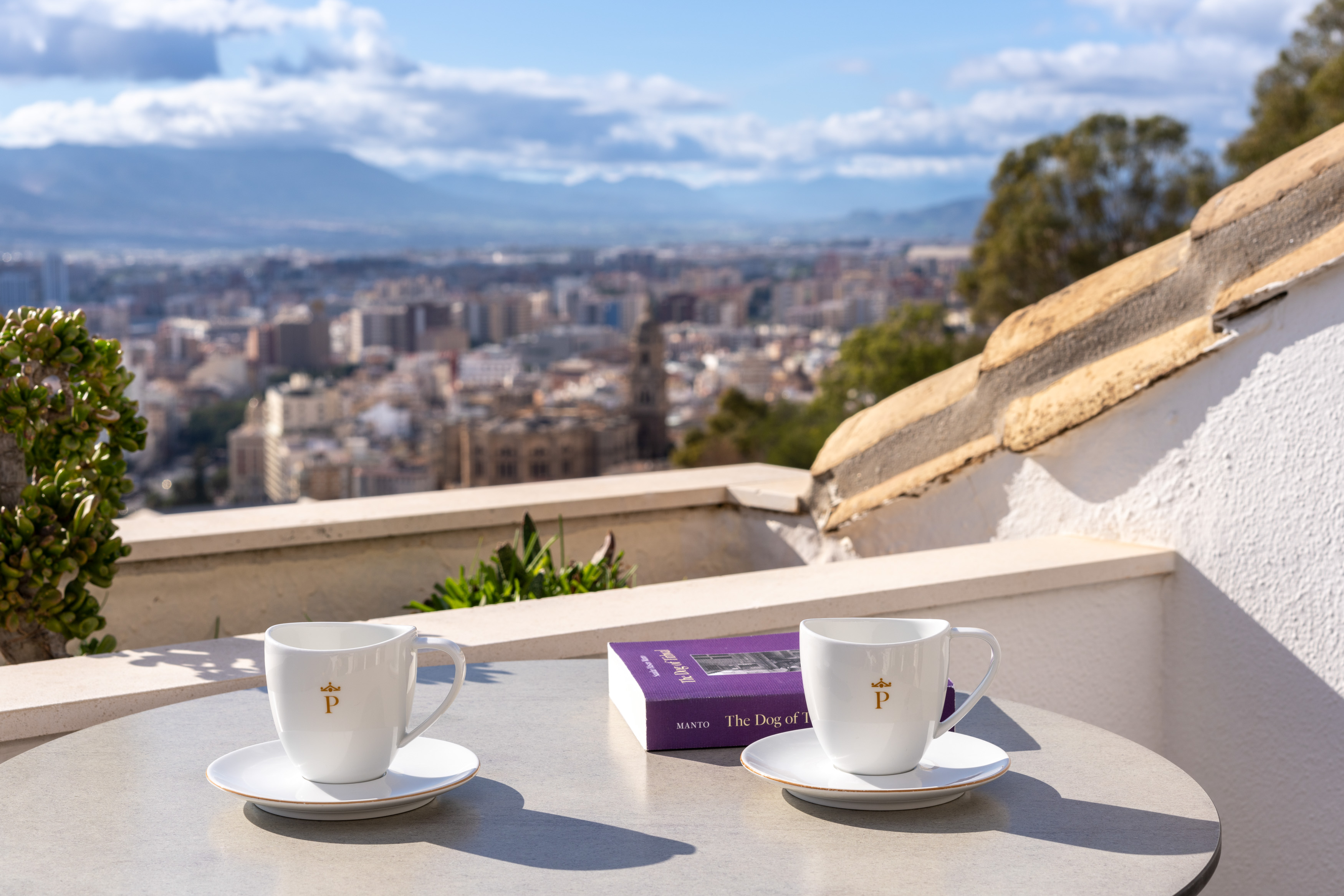 Double or Twin Superior