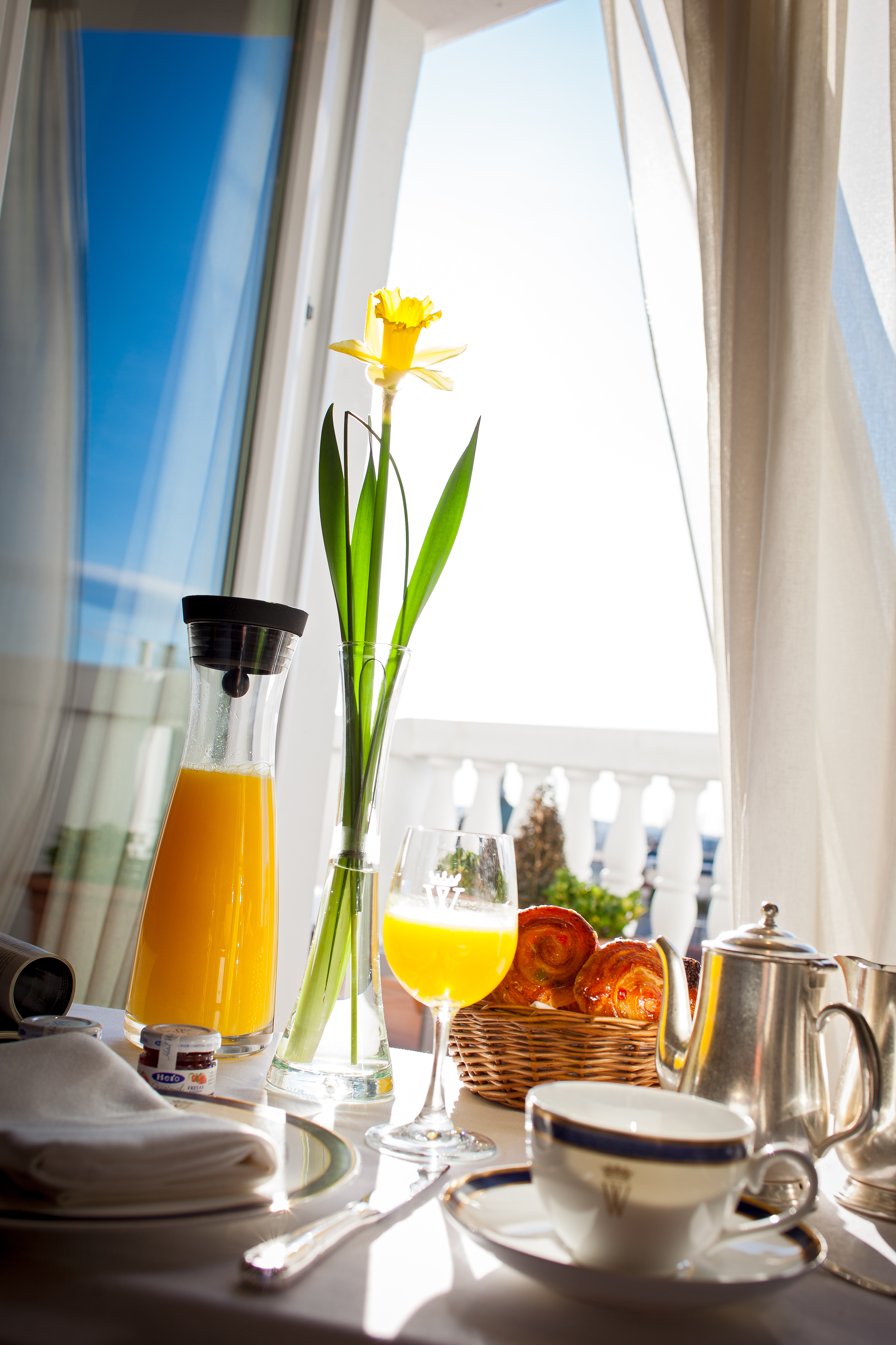 Double or Twin Superior with Terrace