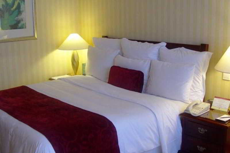 Double King Bed Non Smoking