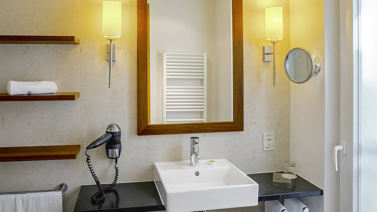 Double or Twin Economy