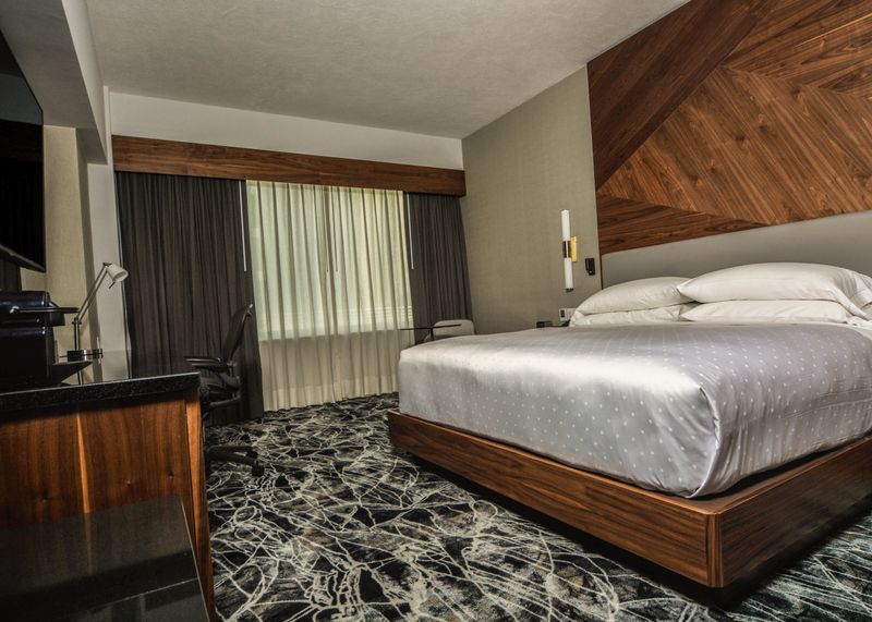 Room Deluxe King Bed