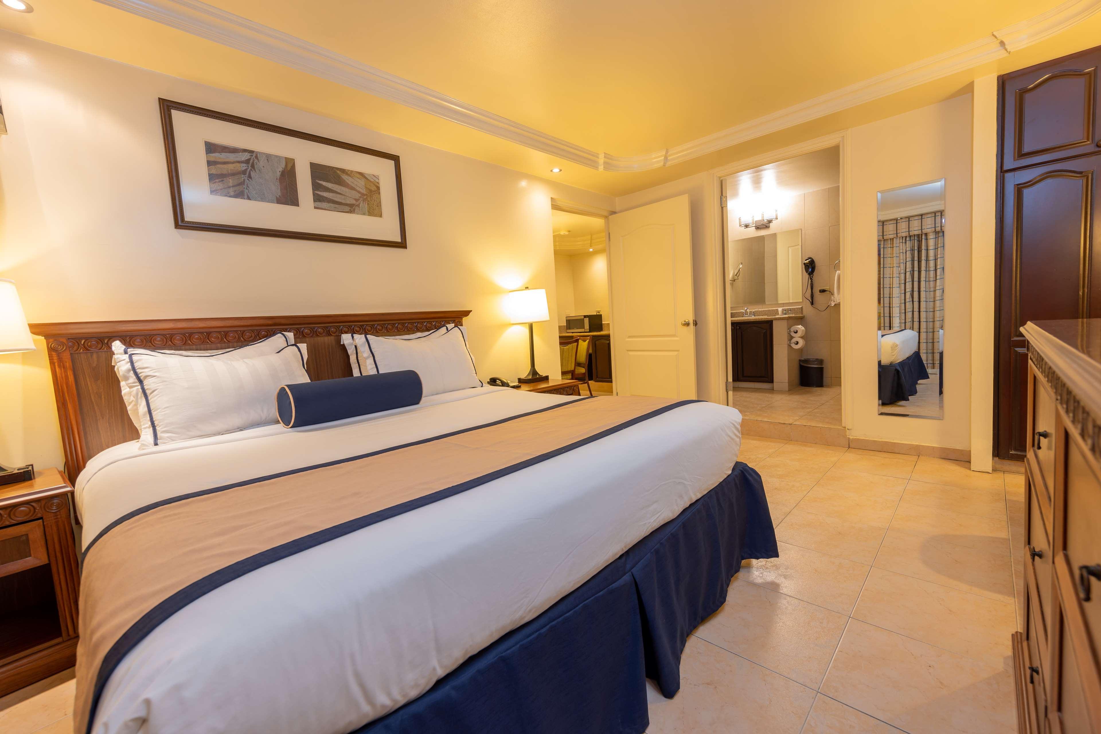 Suite King Bed Non Smoking