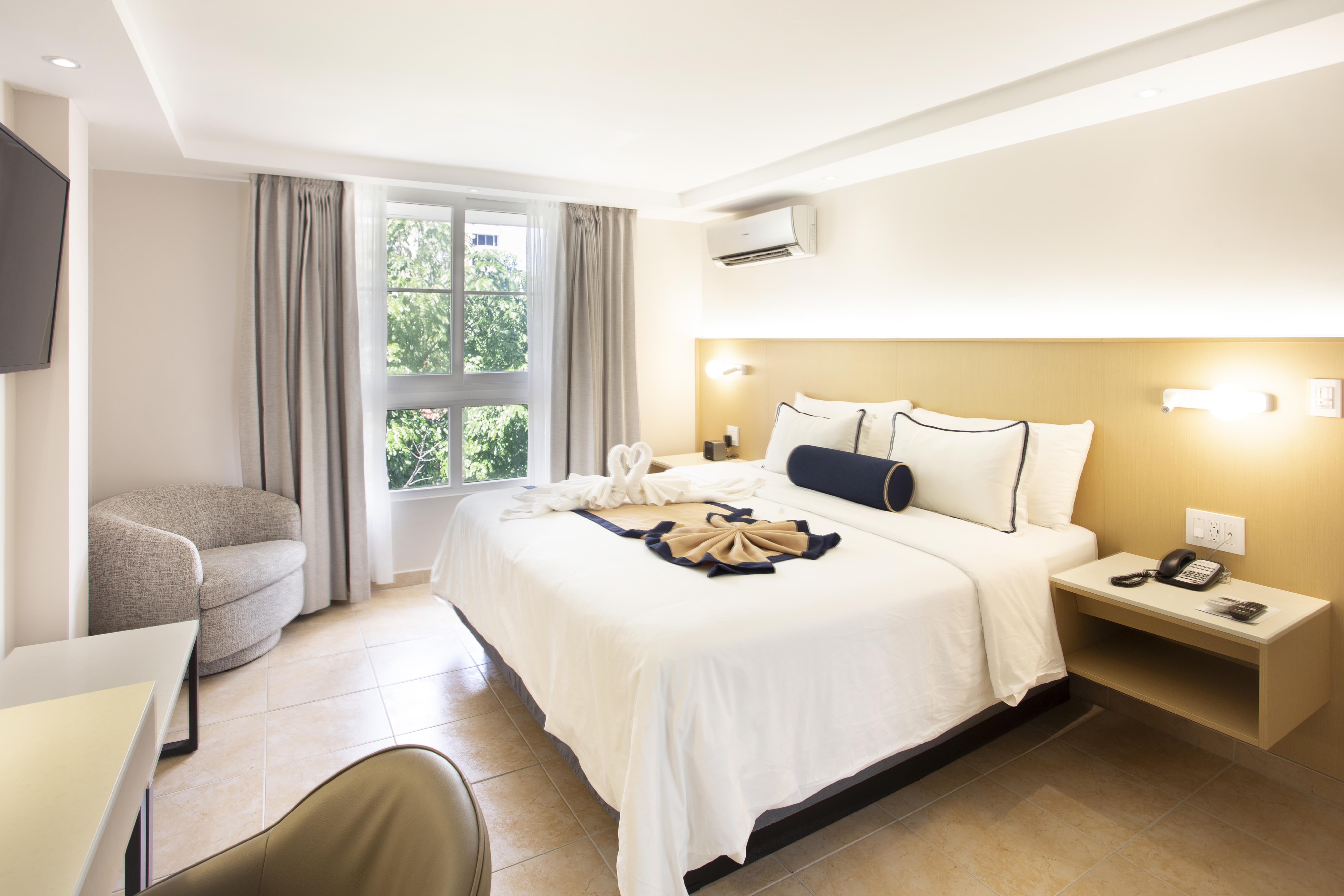 Suite King Bed Non Smoking
