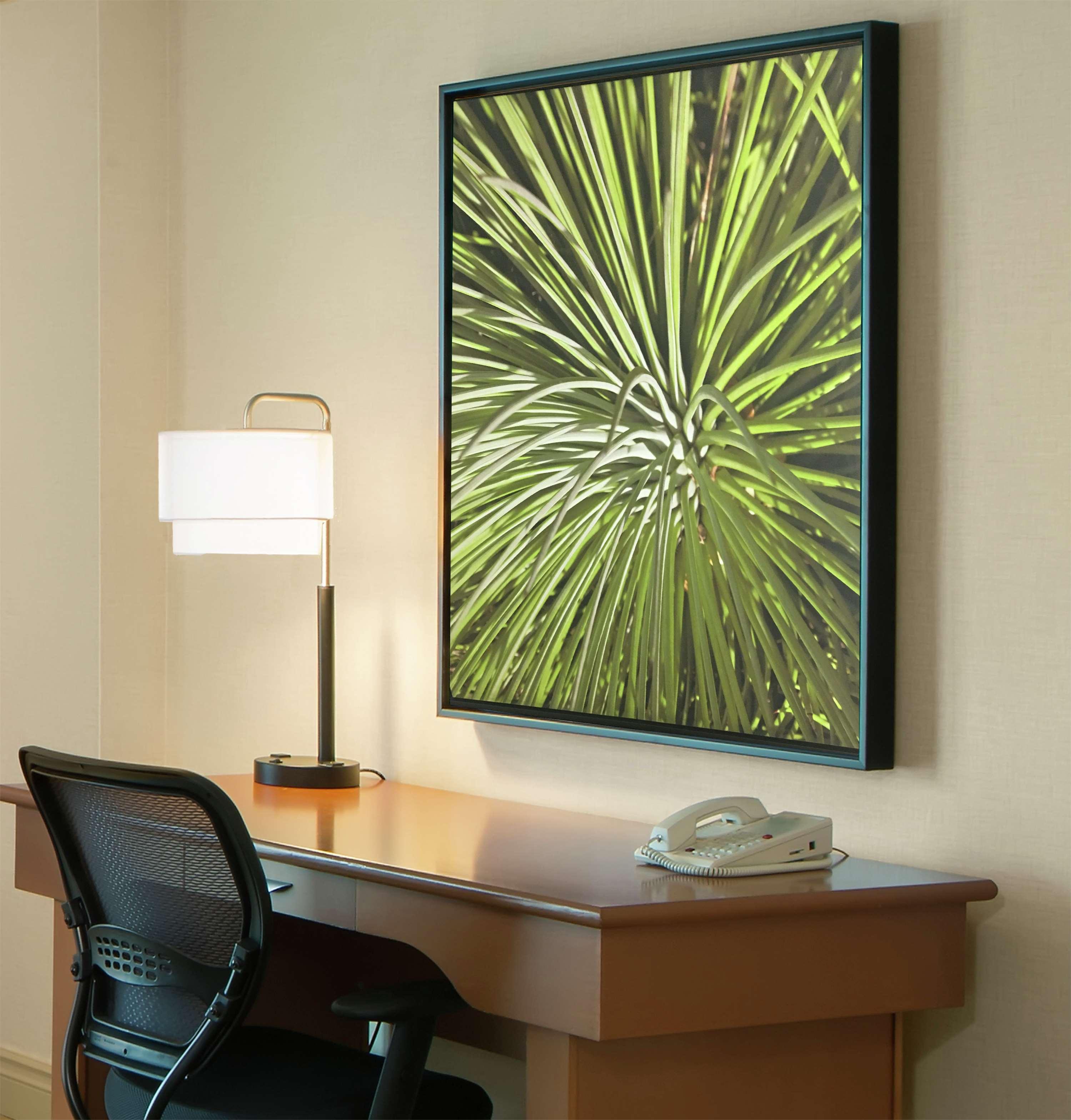 Double Accessible King Size Bed