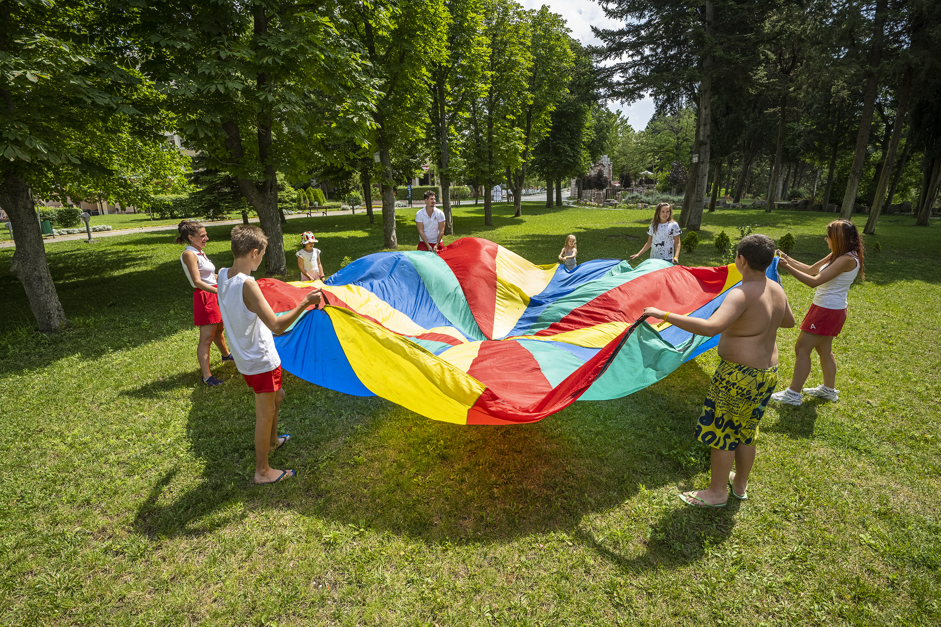 Sports and Entertainment