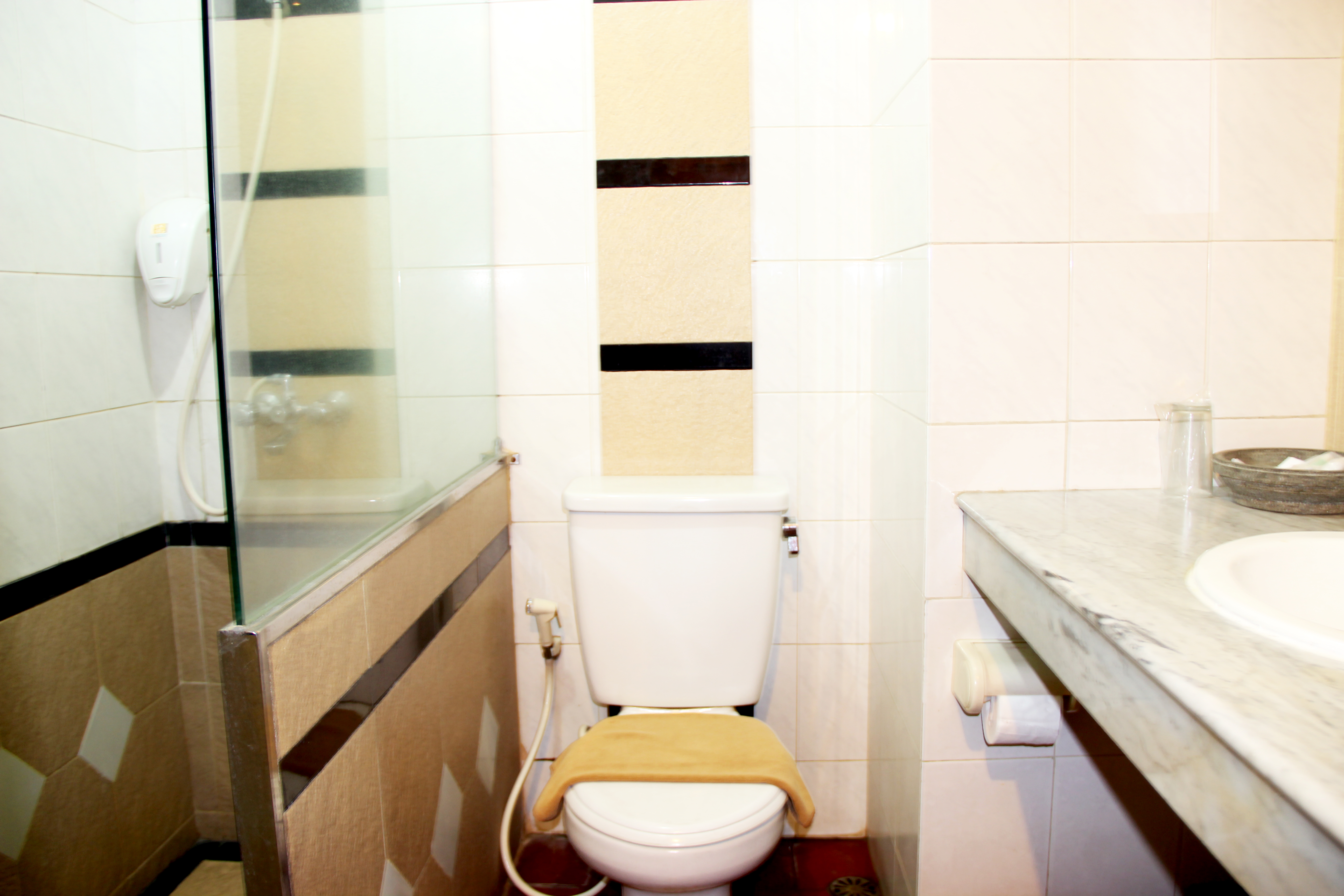 Double or Twin Standard