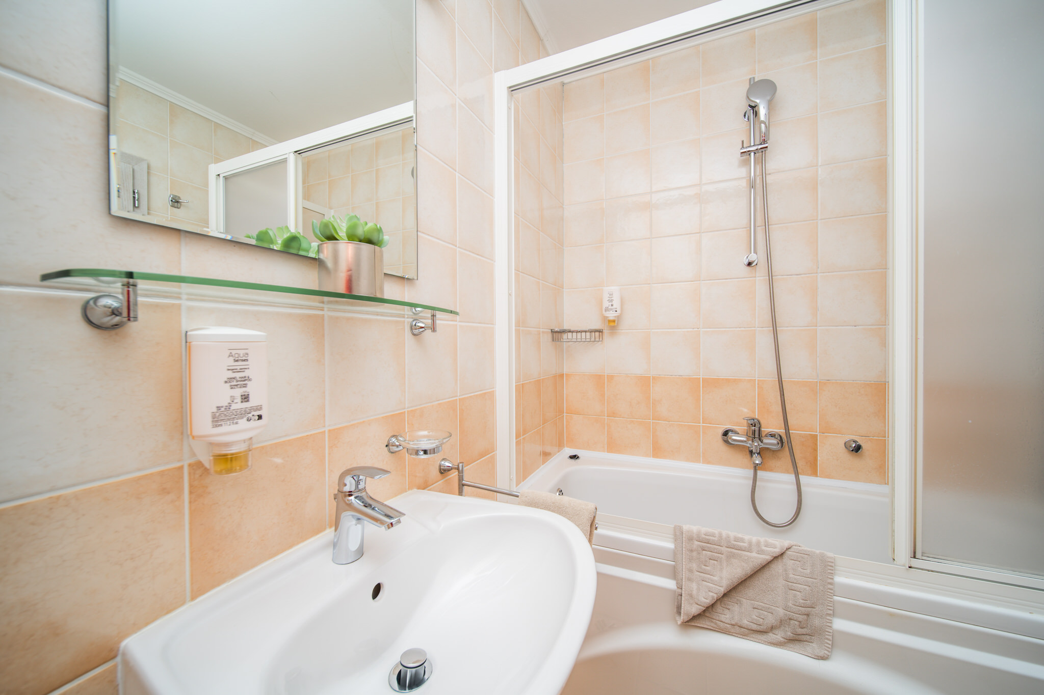 Apartment Capacity 4