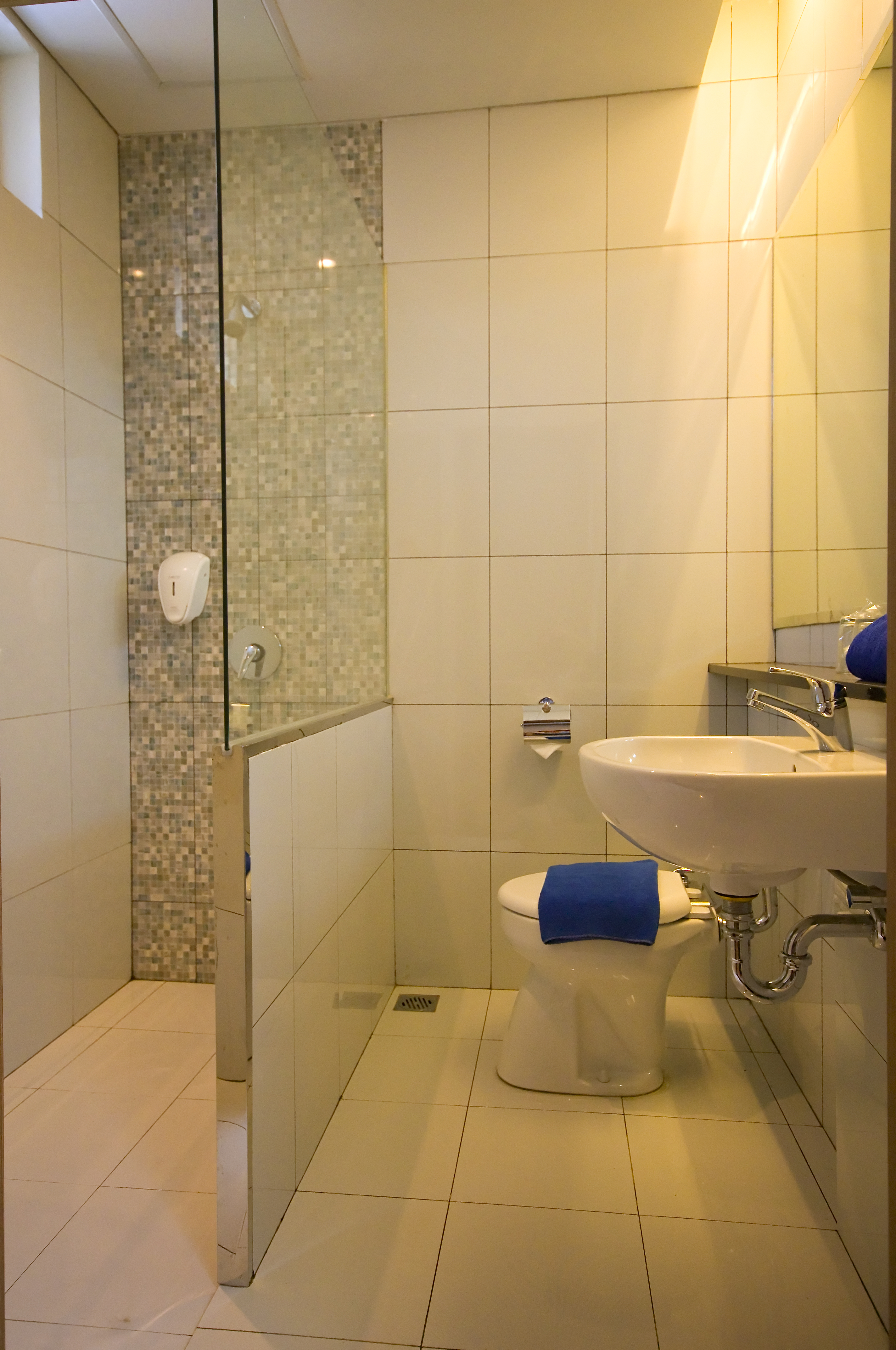 Double or Twin Executive